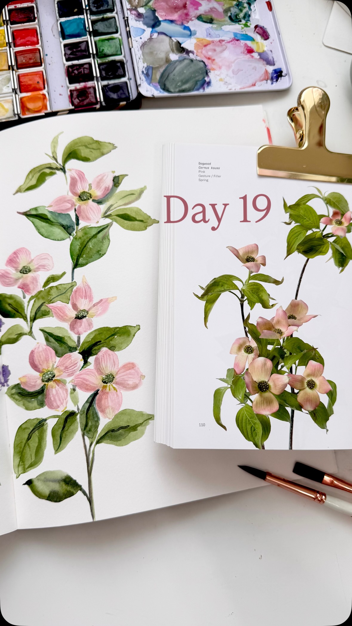 Day 19 of painting flowers from the book Flower Colour Guide. Today I painted some Dogwood on page 110.
Sketchbook: Strathmore mixed media 500 series
Brushes: Emma lefebvre @craftamo travel brush set
Watercolour paints: @shinhanart.official PWC