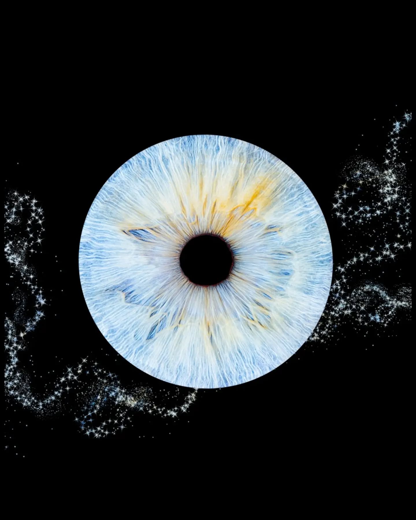 Trois regards une fratrie !!
C'est fascinant ce que la photographie d'iris permet de révéler 🤩
Lequel est ton préféré ?
Dis moi en commentaire
✨️✨️