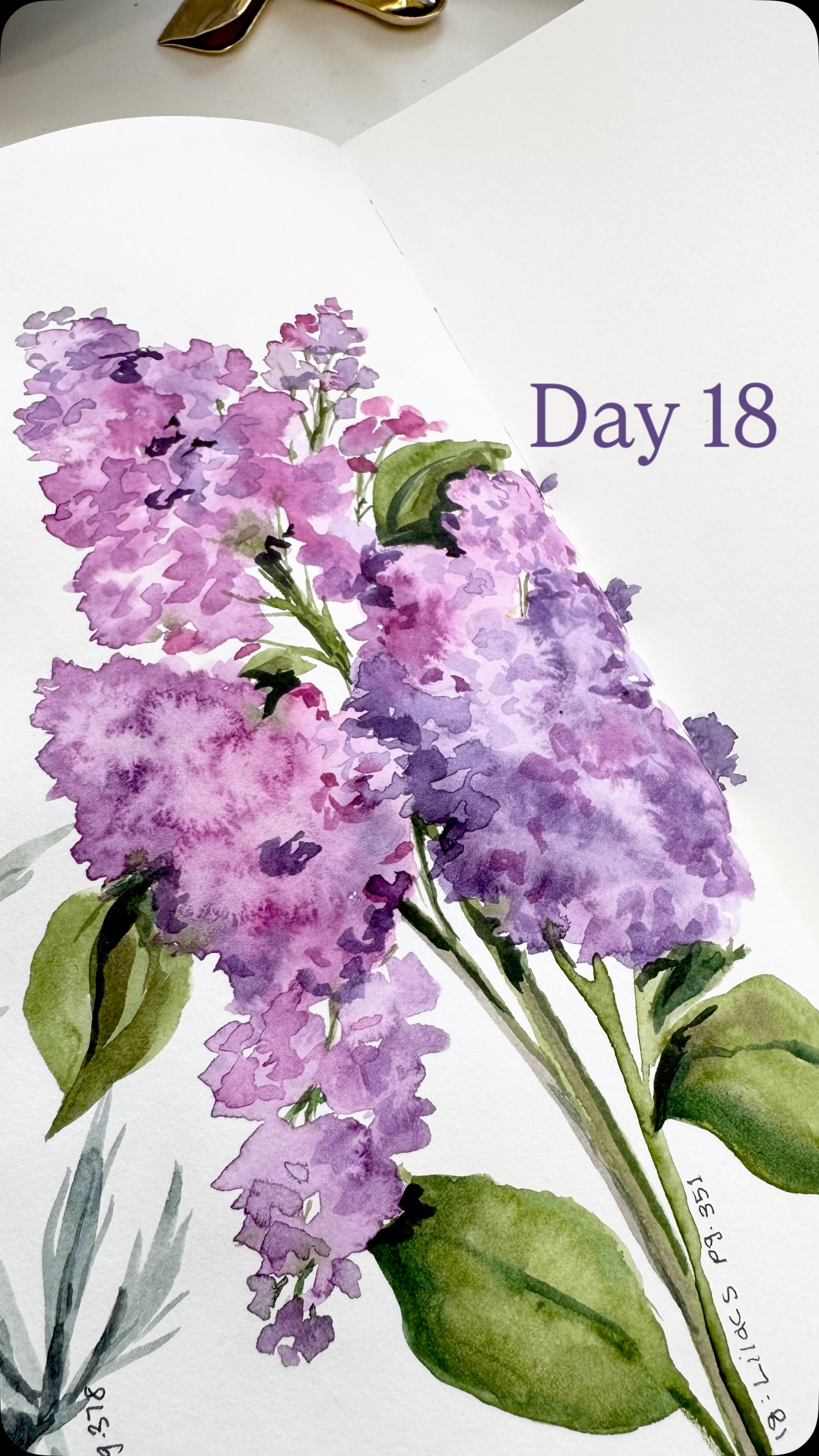 Day 18 of painting flowers from the book, Flower Color guide! Today I picked Lilacs from page. 351
Sketchbook: Strathmore mixed media 500 series
Brushes: Emma lefebvre @craftamo travel brush set
Watercolour paints: @shinhanart.official PWC