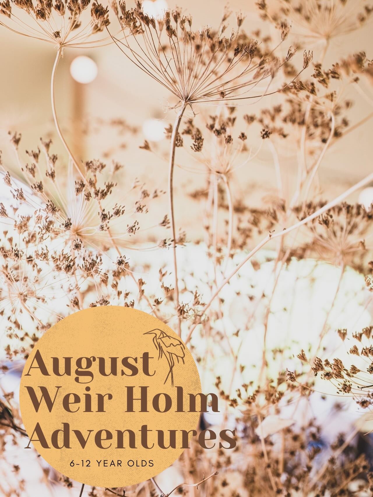Our bookings for our August Adventure are now live🌞
Link in our bio to book ✨
A season full of life here at the meadow, crickets chirrping, bees and butterflies humming, swallows swooping overhead and the river a hive of activity.
We’ll be exploring through games, crafts, campfire cooking, whittling, den building and so much more 🌿
🌱Throughout August
🌱10am till 3pm
🌱Ages 6-12
🌱Skenfrith, Monmouthshire