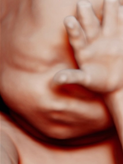 🥱 it’s hard work growing in here 🥰💕
Don’t wait to book your appointment, you definitely won’t regret it, but you might regret NOT doing it! Create those memories while you can 🫶🏼
If you know me, you know I don’t like sounding salesy… but I’d be remiss if I didn’t mention that your next ultrasound experience is waiting right here at Precious Peek. 🤍
Whether you’re looking for a 2D, 3D, 4D, or 5D ultrasound, I’d love to have you and your family! ❤️
Xo Bianca
📍 Vero Beach, FL
Proudly serving families from Vero Beach, Fort Pierce, Port St. Lucie, Sebastian, Palm Bay, and throughout the Treasure Coast.