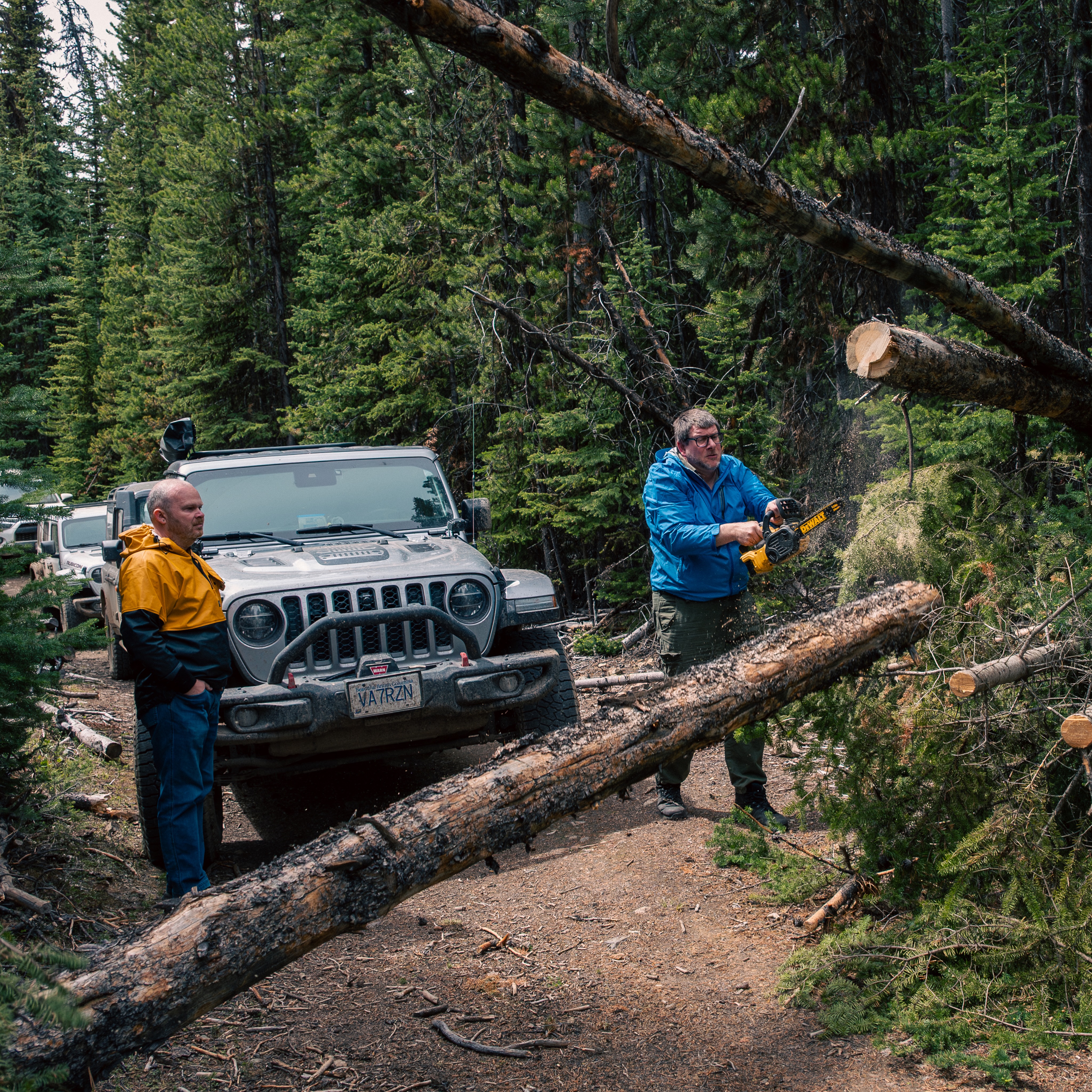 Now this one was a pickle: the lifted Gladiator was fitting under the fallen log just fine, but its awning was not (yet alone if we were to head back the same way). So chain saw came to the rescue.
It is one of those moments we all love when getting out there exploring. I mean standing with a can of trail juice and watching someone working hard of course.