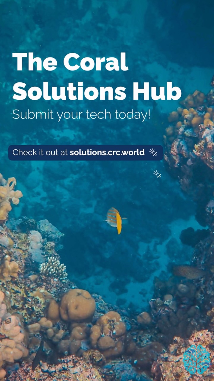 Introducing the Coral Solutions Hub (CSH), a platform built by the community, for the community.
The CSH connects restoration practitioners with the tools, technologies, and developers they need to move reef restoration forward. From aquaculture equipment to digital monitoring tools, browse our first cohort of technologies and reach out directly to explore collaborations and co-development opportunities.
Have a technology to share? Submissions are free and open to companies, research institutions, startups, and individual innovators. Our goal: 50 technologies posted before Reef Futures this December.
Co-funded by the G20 Coral Research & Development Accelerator Platform (CORDAP, @cordap_), the Coral Solutions Hub is a place to drive the field of coral restoration forward.
Better tools. Better outcomes. Together.
👉 Explore the Hub today at solutions.crc.world
📸 featuring CSH Lead, Dr. Matt Gamache!
#CoralRestoration #CoralSolutionsHub #ReefRestoration #Innovation #CoralReef
