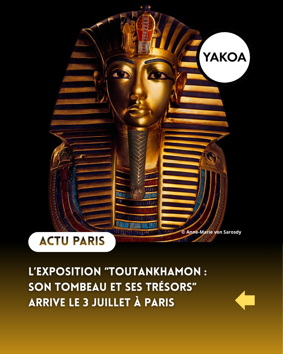 Plus de cent ans après la découverte du tombeau de Toutankhamon par l’archéologue Howard Carter, l’une des plus fascinantes aventures de l’histoire de l’archéologie reprend vie à Paris. L’exposition Toutankhamon : son tombeau et ses trésors propose une immersion spectaculaire dans l’univers du jeune pharaon égyptien, dont la sépulture, découverte intacte en 1922, demeure l’un des plus grands trésors jamais mis au jour.
Déployée sur plus de 2 500 m², l’exposition reconstitue fidèlement le tombeau tel qu’il apparut aux yeux de Carter. Les visiteurs traversent les différentes chambres funéraires et découvrent près de 1 000 objets reproduits à l’identique à partir des archives, photographies et relevés scientifiques de l’époque. Statues, chars d’apparat, bijoux, coffres, objets rituels et mobilier royal permettent de mesurer toute la richesse symbolique et artistique de la civilisation égyptienne.
Cette nouvelle édition parisienne est enrichie d’une expérience en réalité virtuelle et d’une salle immersive à 360°, offrant un regard inédit sur la vie, la mort et l’héritage de Toutankhamon. Une approche à la fois spectaculaire et rigoureuse qui permet de comprendre l’ampleur de cette découverte archéologique hors du commun.
———————-
📍Paris Expo – Porte de Versailles
Paris 15
Exposition du 3 juillet au 6 septembre 2026
🎟️ Billets horodatés à partir de 17,90€
ℹ️ Réservations et informations sur toutankhamon-exposition.fr
#toutankhamon #parisexpo #expositionparis #egypteantique #quefaireaparis
