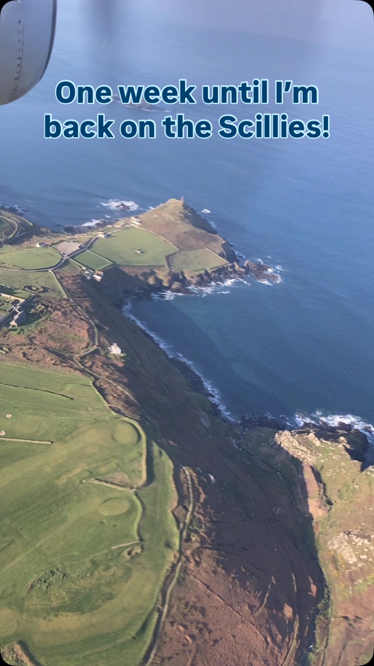 A week today I’ll be back on the Scillies! This time, I’ll be heading to St Agnes to explore all the foraging delights on offer and would love you to come too! To book scan the QR code, email learnscilly@scilly.gov.uk or go to the website www.scilly.gov.uk
#islesofscilly #forage #plants #summer #getoutside