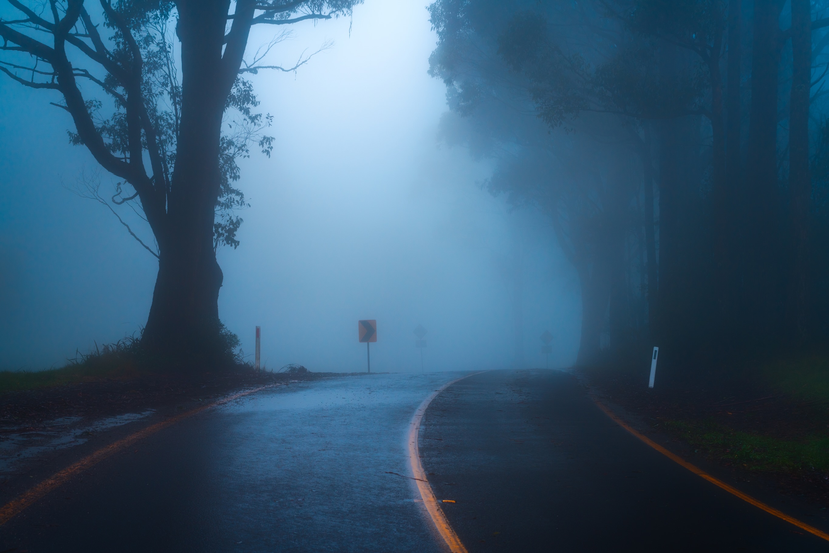 Disappearing into the weather
There was nowhere to be this weekend except inside the rain.
I spent hours driving through foggy forests, pulling over every few minutes because the landscape kept changing. One moment the trees would emerge from the mist, the next they would disappear again completely.
The rain was changing too. One minute it was a gentle patter and the next it was a relentless downpour drumming on the roof of the car. More than once I sprinted back to the shelter of the car, convinced I was finally done for the day, only for the rain to soften again moments later.
It almost felt playful. As though the weather was teasing me, drawing me back out, watching me retreat and then inviting me in once more.
Somewhere between the fog, rain and the endless winding roads, my mind wandered to the work week, hoping I wouldn’t have to call in sick.
And out of nowhere, a memory surfaced.
I was 7yrs old, standing with my best friend before school, elbows resting on a fence while we quietly watched the playground come to life. Then came a sneeze. A truly spectacular sneeze, followed by what felt the biggest snot ever, and was perhaps the most embarrassing moment imaginable.
Standing in the rain all these years later, I found myself smiling. Not at the memory itself, but at how vividly I could remember the emotions of that little girl. How something so small had once felt enormous. How the mind stores these fragments away for decades, only to quietly return when you least expect it.
I stood there for a moment, thinking about that 7 year old girl. Thinking about how she fiercely she felt everything and I smiled at her.
Thinking about the all the roads she had yet to travel.
The heartbreaks
The triumphs
The lessons
The unexpected turns
The moments of joy waiting quietly around corners she couldn’t see yet.
And somehow, standing in the fog covered forest, I felt immense gratitude for every one of them.
While the fog was making the world disappear around me, it was also revealing things I hadn’t thought about in years.
The images are the souvenirs, the real gift is the memories, reflections and the unexpected pieces of myself I find along the way.
