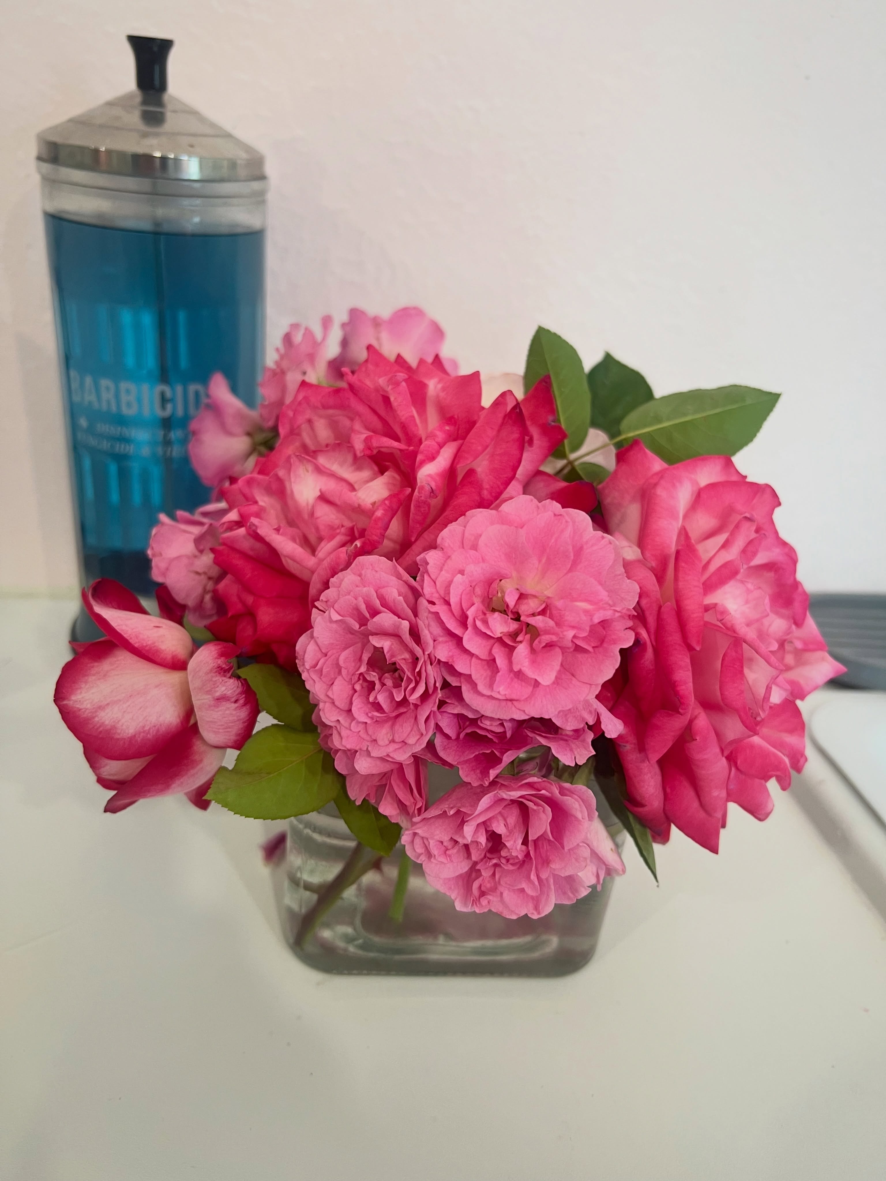 Nothing better than a bouquet of my grandma’s roses.
Seeing & smelling them makes me think of her. 🌹