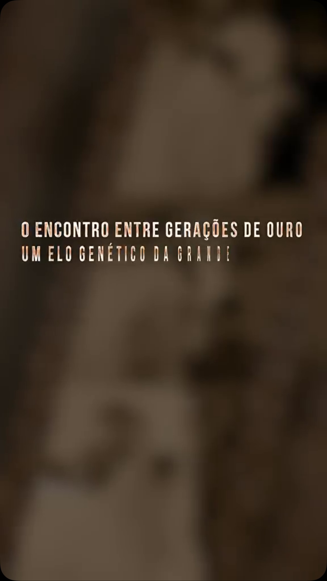 Hoje no leilão HRO
GUAPA FIV AL CANAÃ