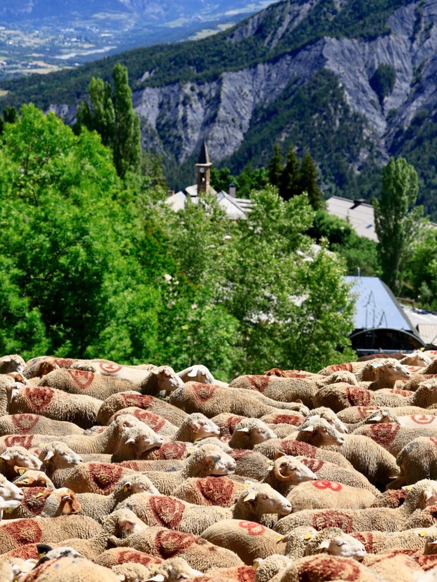 La montagne dans toute son authenticité. ⛰️
