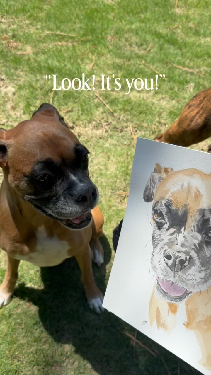 Showing my dog her pet portrait 💕
I’ll be teaching another pet portrait class next Friday 6/26 at @artforlifeinbuford ! And you should totally come because it’s going to be a blast.
You’ll leave this class with a pet portrait that perfectly captures your pets personality as well as with the knowledge to keep painting on your own. Don’t worry though - no drawing or painting skills are necessary to have beforehand. 👨🎨
It’s been such a thrill to teach again. Seeing people surprise themselves with what they’re capable of with their own two hands never gets old.
So if you’re looking for Friday night plans, give painting with me a try! You might surprise yourself (and your pet haha). 😉
Link is in my bio! 🔗
#Petportrait #watercolorworkshop #artclasses #watercolor