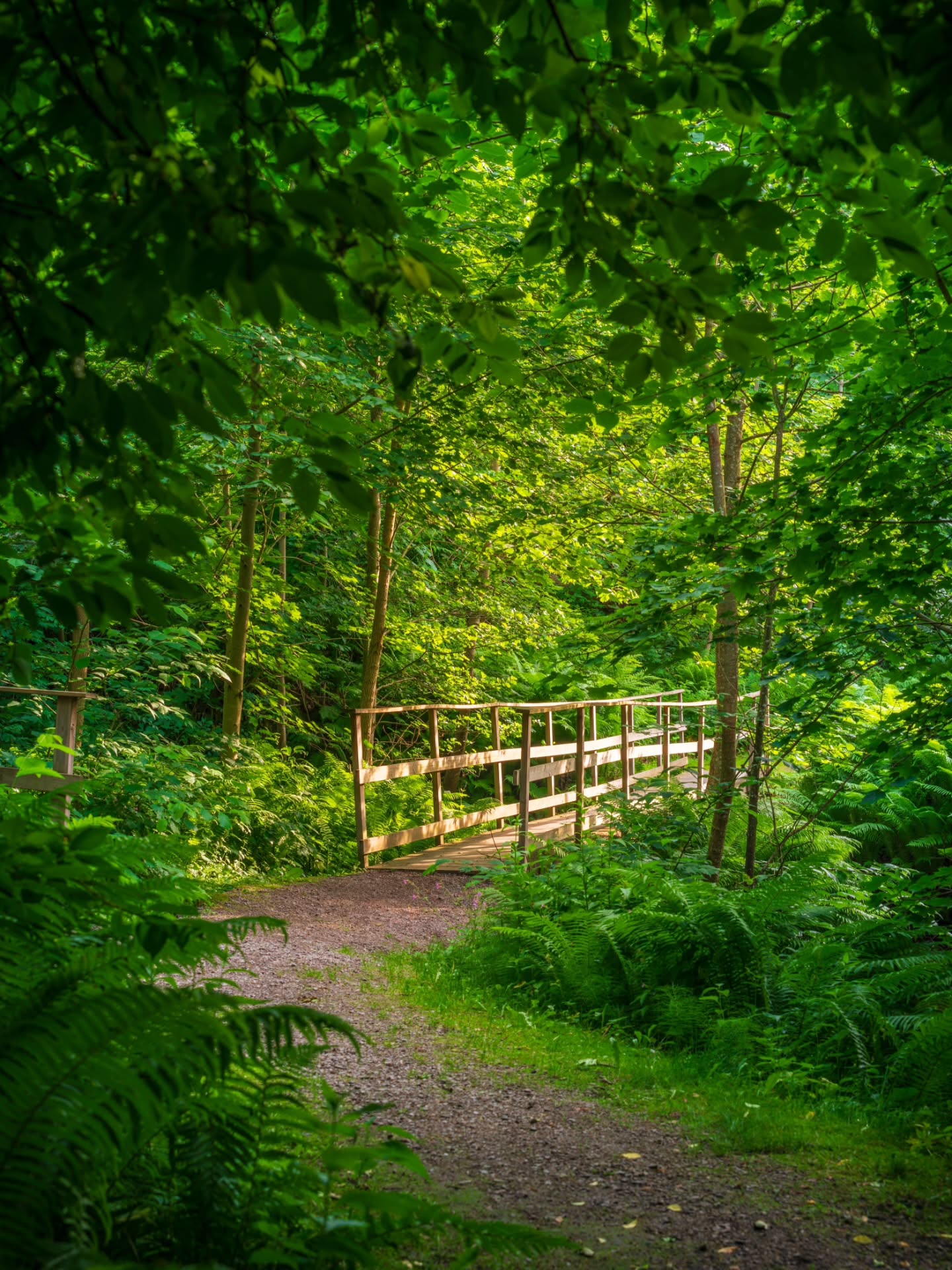 Följ med in i djungeln 🌿
En grön oas en halvtimme utanför Linköping, som ger känslan av en för...