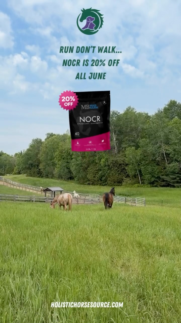 Don’t let this deal pass you by! Mad Barn NOCR is 20% OFF all month long in June!
Dust, pollen, and seasonal shifts can affect respiratory comfort and performance. NOCR is formulated to support healthy airways, lung function, and overall respiratory wellbeing
Available at HolisticHorseSource.com
Tottenham Pickup | Canada wide shipping
#MadBarn #NOCR #HorseHealth #EquineWellness #JuneSale