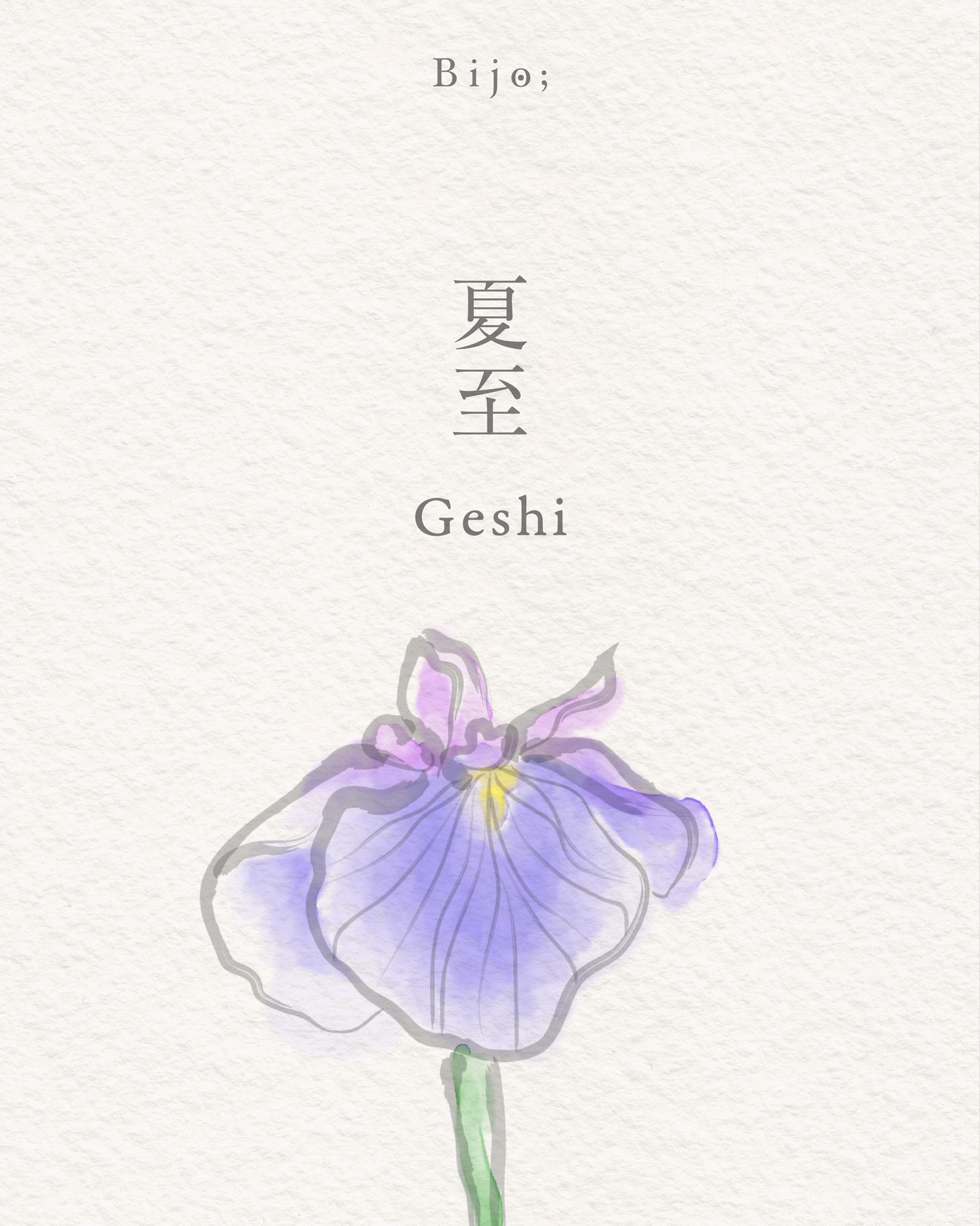 Geshi 夏至
Solstice d’été — 21 juin
Dans le calendrier traditionnel japonais, Geshi marque le solstice d’été, le jour le plus long de l’année. La lumière atteint son apogée, les journées s’étirent, et la nature entre pleinement dans l’intensité de la saison estivale.
C’est une période de culmination. La saison avance vers une énergie plus dense, plus lumineuse, mais aussi plus instable. Les pluies continuent, la chaleur s’intensifie, et les plantes poursuivent leur transformation sous l’effet du soleil.
La lumière ne grandit plus, elle atteint son sommet.
L’énergie de la saison devient plus profonde. Les journées sont longues, les fleurs d’été apparaissent, certaines plantes se dessèchent déjà, tandis que d’autres émergent dans l’humidité. C’est un temps d’intensité, d’équilibre fragile et de pleine présence.
Geshi se déploie en trois micro-saisons, les kō, chacune révélant un mouvement discret mais essentiel :
– Natsukarekusa karuru
Les brunelles se dessèchent
21–26 juin
– Ayame hana saku
Les iris fleurissent
27 juin–1er juillet
– Hange shōzu
La plante hange apparaît
2–6 juillet
C’est un temps de lumière, d’expansion et de bascule.
Geshi nous invite à accueillir l’intensité de l’été, tout en restant attentifs aux signes subtils de transformation qui habitent déjà la saison.