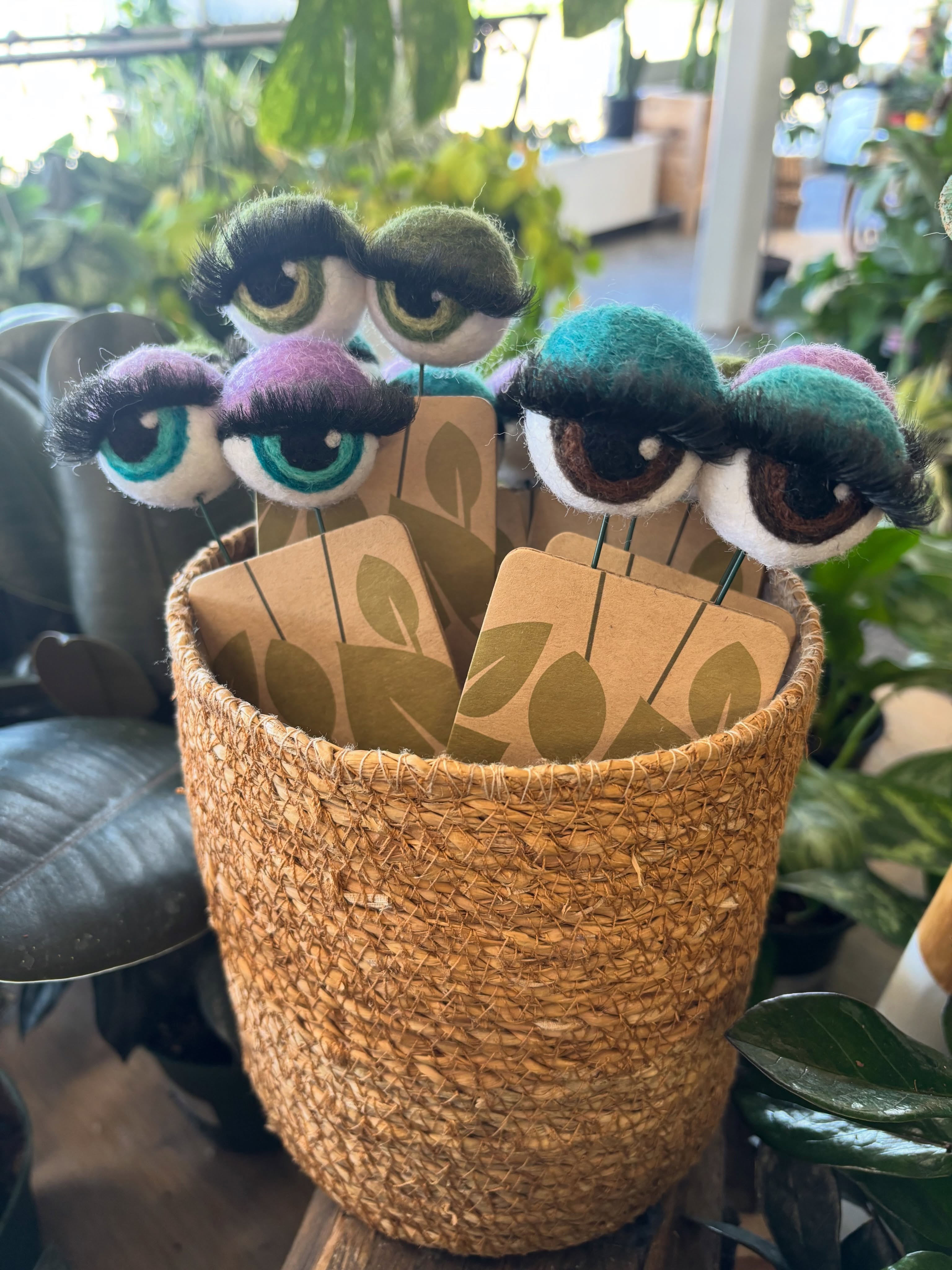 You guys love the plant eyes so we made sure to get some more👀🪴