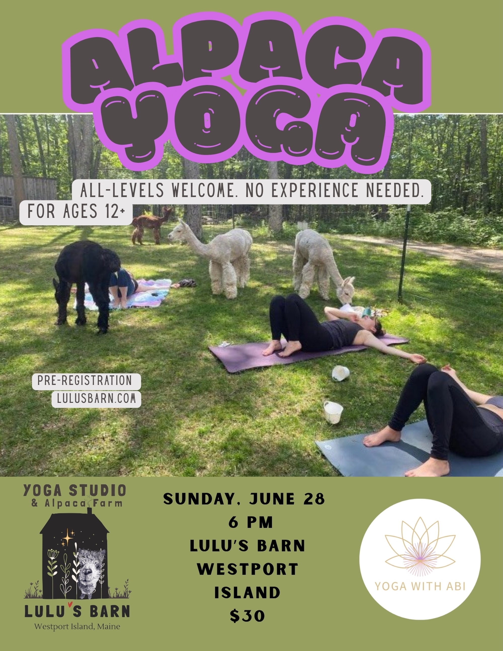 Alpaca yoga returns June 28 at 6pm! Join us at Lulu’s Barn in Westport Island, ME for outdoor yoga with our alpacas. $30, pre-register at lulusbarn.com
#AlpacaYoga #YogaWithAlpacasMaine #midcoastmaine