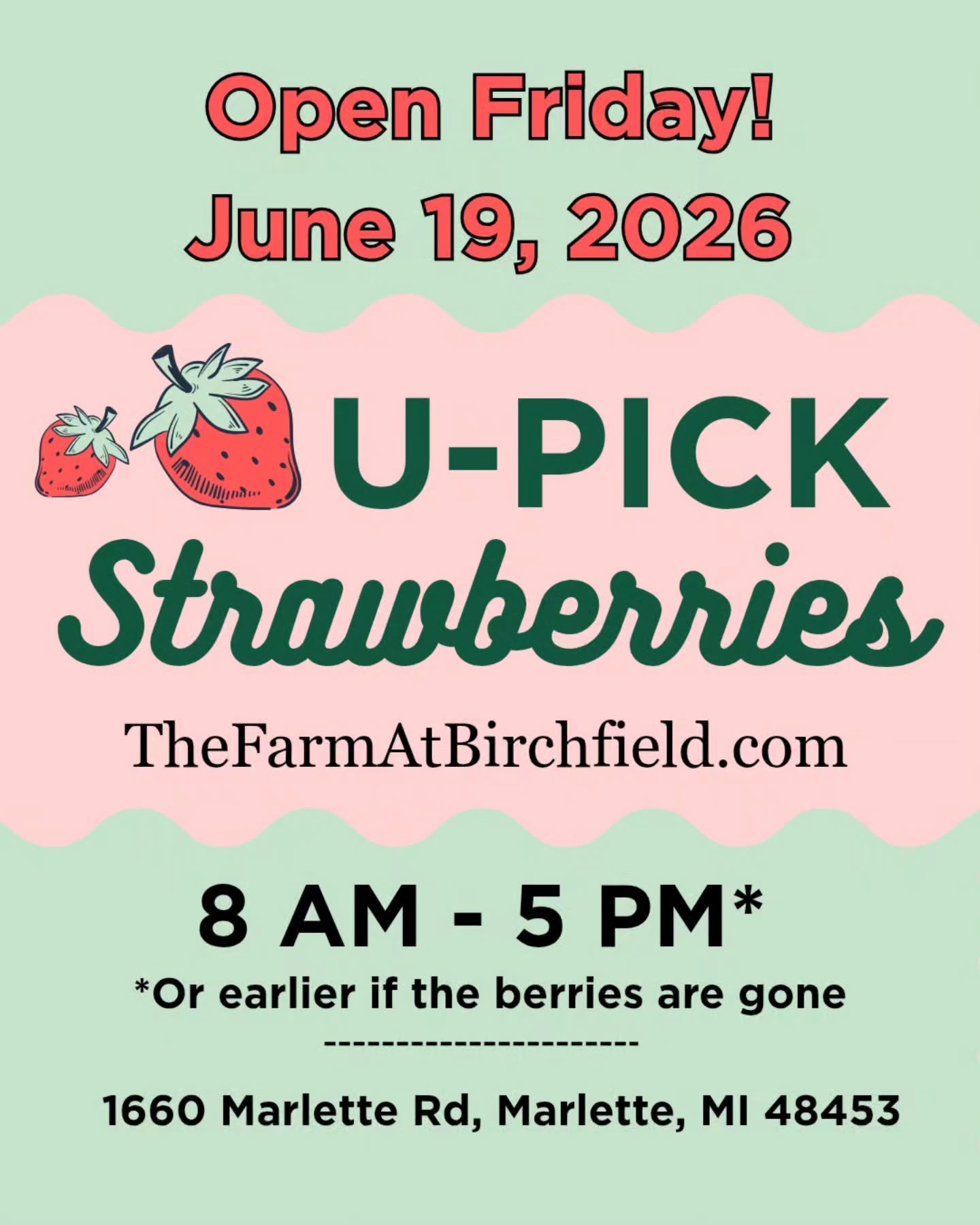 🍓 U-Pick is OPEN tomorrow! 🍓
We’re getting toward the end of berry season, so now is the time to come pick those sweet little strawberries before they’re gone!
📅 Friday, June 19
⏰ 8 AM–5 PM
Or earlier if the berries are picked out
Come early and enjoy one more trip to the berry patch while you can!
📍1660 Marlette Rd, Marlette, MI
🌐 TheFarmAtBirchfield.com