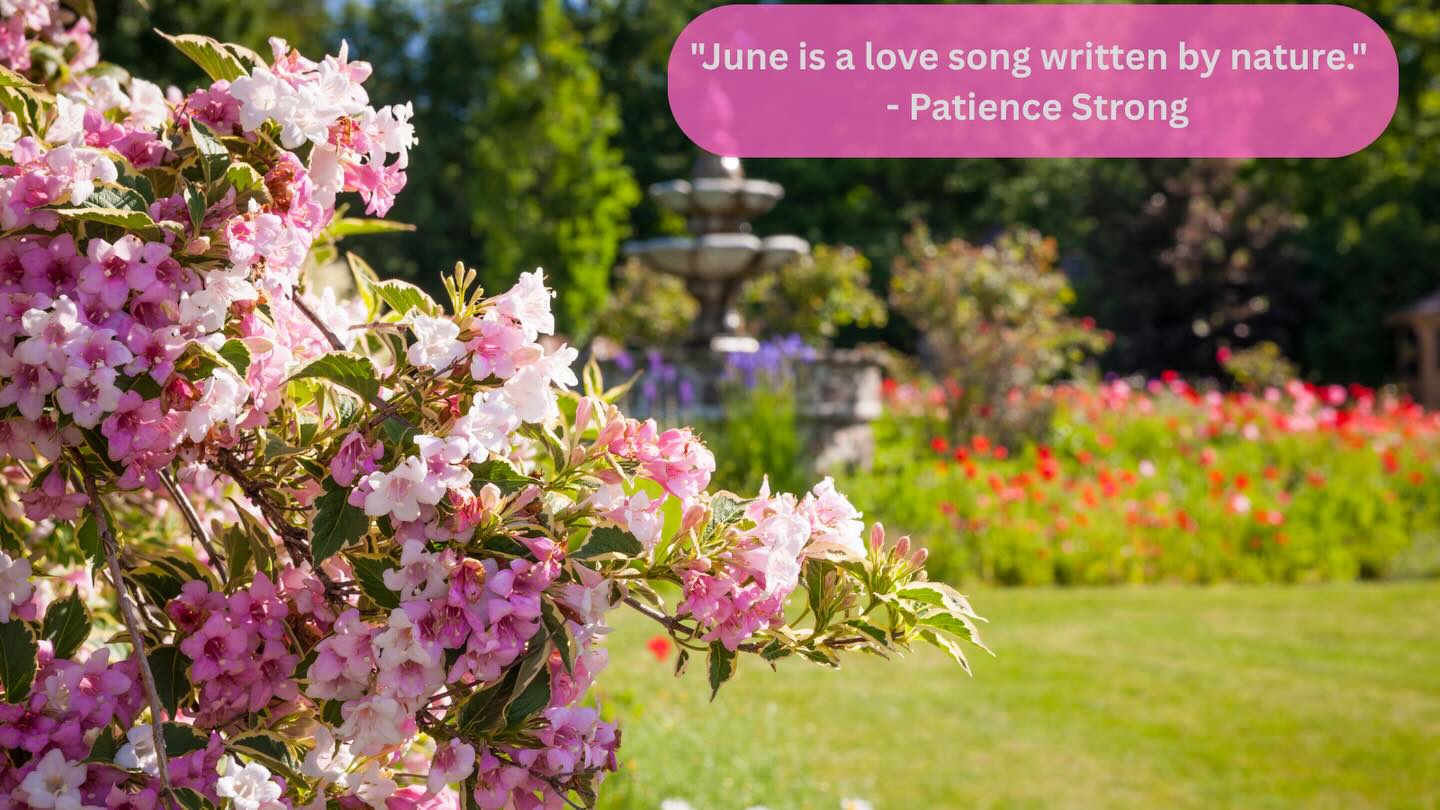 #QuoteOfTheDay #PatienceStrong #JuneQuote #June #nature SafeSoilUK