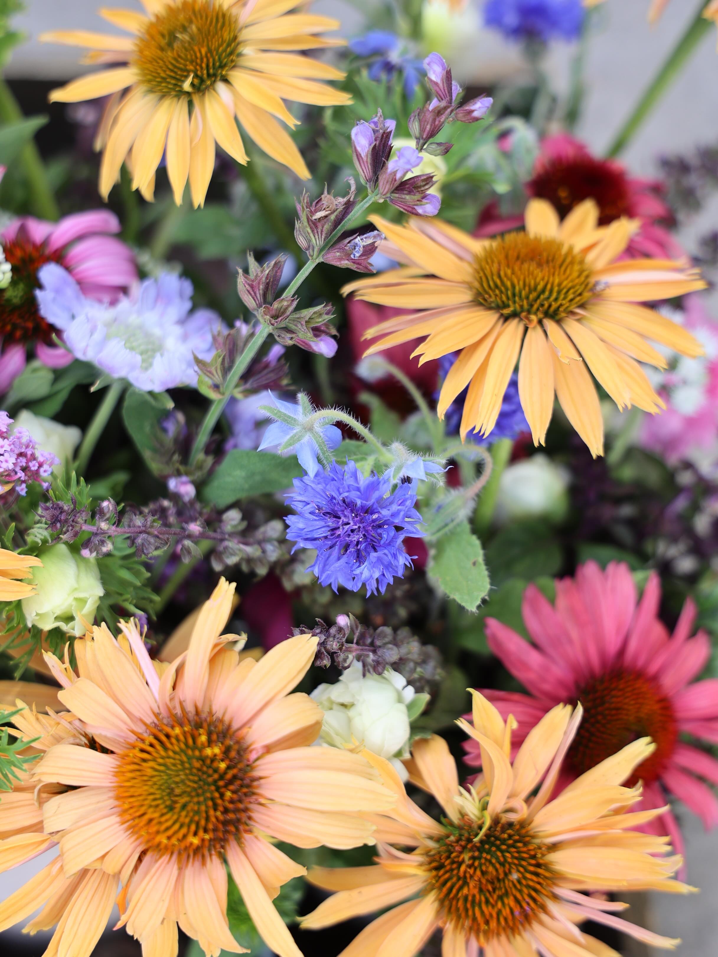 The Flower House is open and full of all the cheerful colors of the season! We have eggs, fresh garden greens & herbs, and more!
Friday-Sunday
10-4