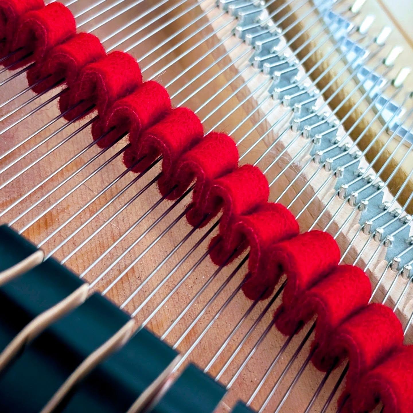 "A piano has 230 strings. Like a drummer with too much ring in his snare, I start by muting most of the instrument."
-Wayne Gretzky
#pianotechnician #lamplightpianoservice