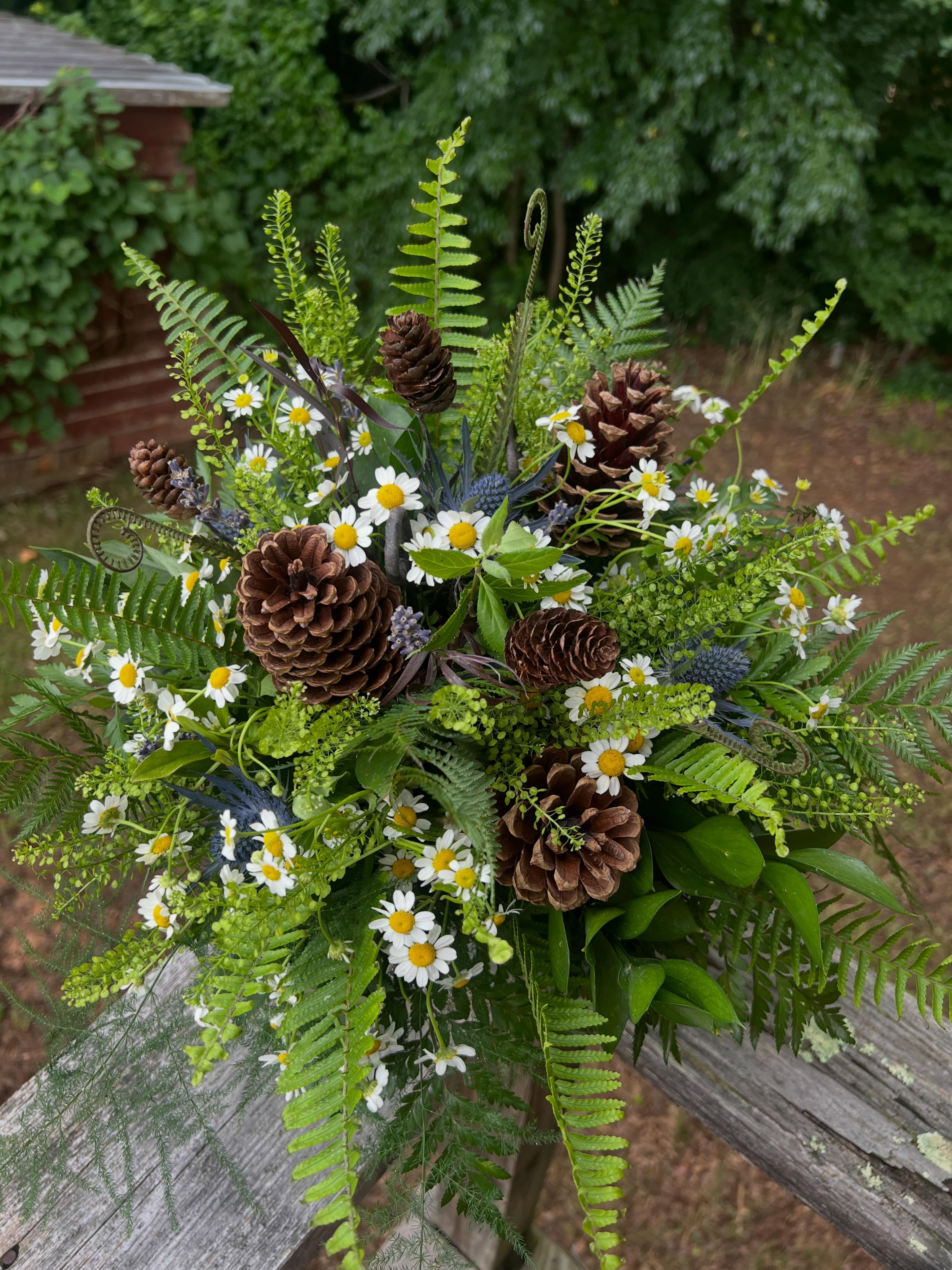 For all those forest feeling vibes…