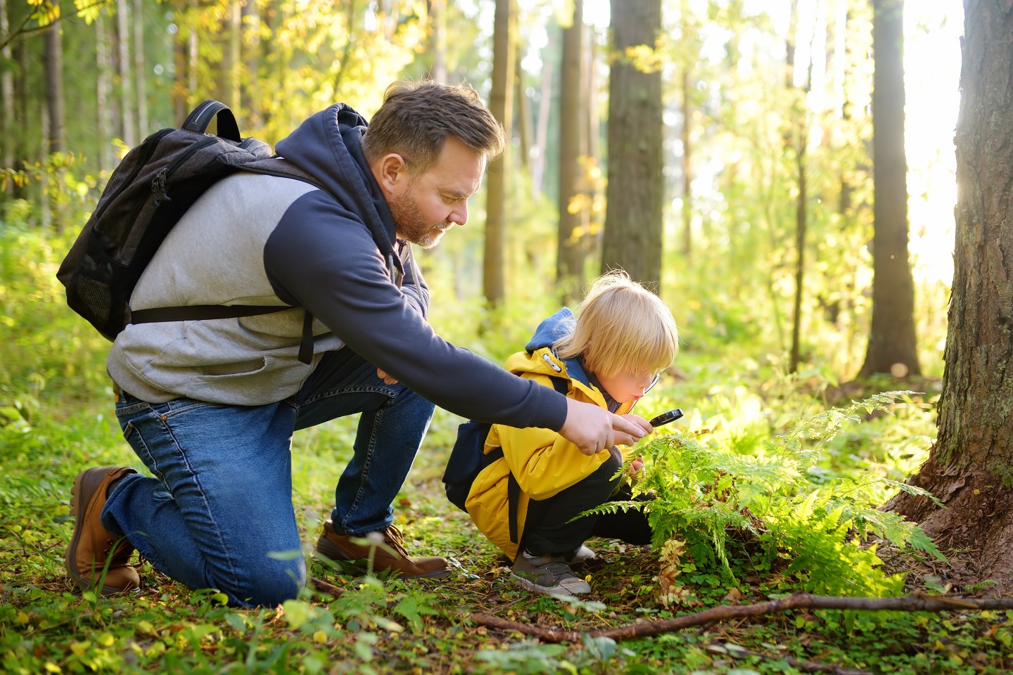 Happy Father's Day to all the dads out there. 🌲
Here's to the ones who smile at the early starts on the weekend. Who pack the car full of snacks without a sigh, make the long drive without complaint, and turn an ordinary weekend into something their kids will remember for years.
The Forest of Dean and Wye Valley are full of memories worth making. If you're heading out for a weekend adventure today, we hope it's a good one.
#VisitDeanWye #FathersDay