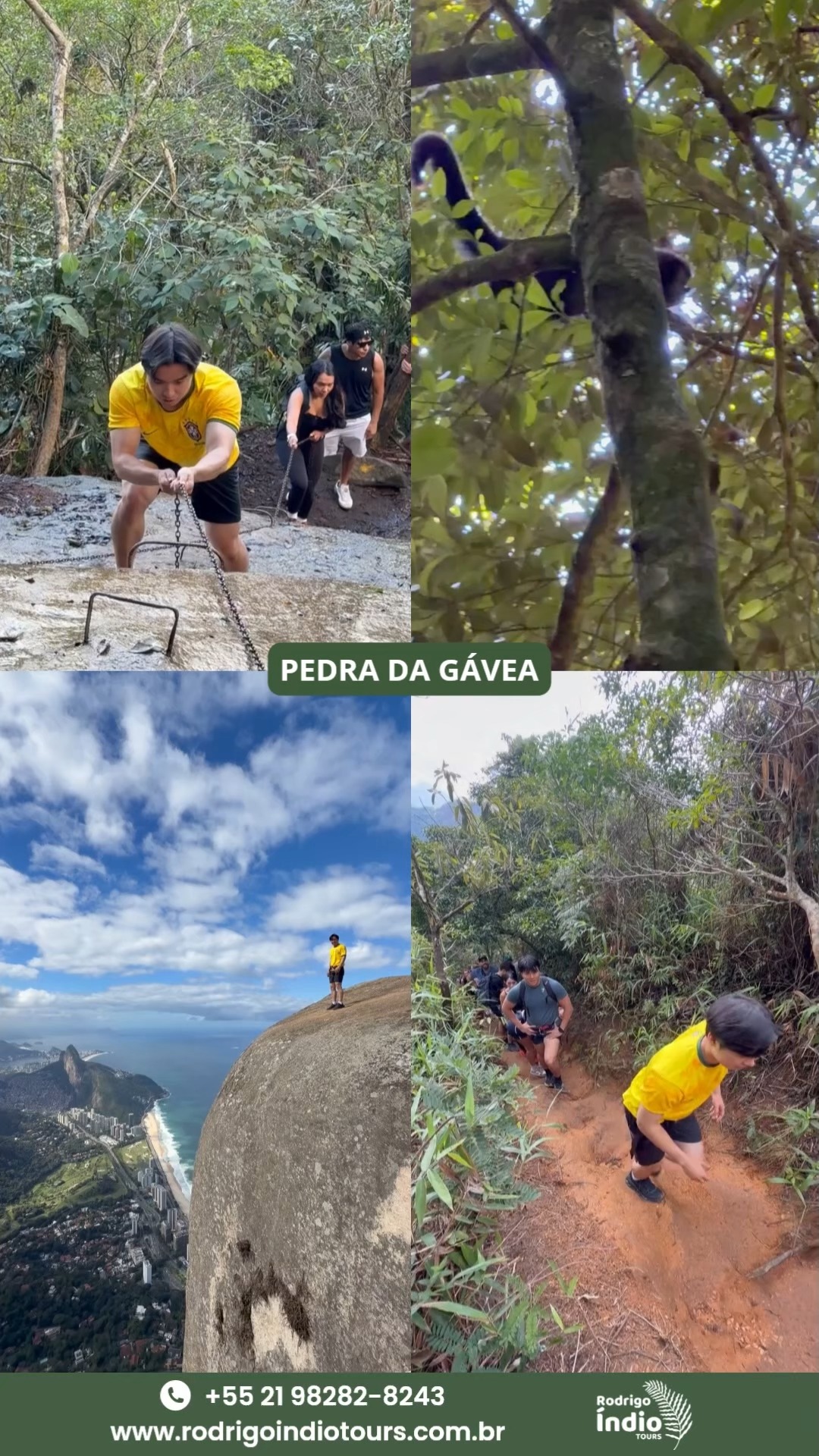A trilha mais famosa e procurada do Rio e na minha opinião a melhor. Seja por todo o percurso com vistas incríveis, a sua dificuldade, escalada na Carrasqueira (ou rapel), sua imensidão e vista 360 graus da cidade de imponente montanha.
The most famous and sought-after trail in Rio, and in my opinion the best. Whether it's the entire route with incredible views, its difficulty, the climb on Carrasqueira (or rappelling), its immensity, and the 360-degree view of the city from an imposing mountain.
PEDRA DA GÁVEA:
https://www.rodrigoindiotours.com.br/pedra-da-gavea
AS MELHORES EXPERIÊNCIAS ESTÃO AQUI:
https://www.rodrigoindiotours.com.br/experiencias
MAIS UM DIA DE ÍNDIO
ANOTHER ÍNDIO DAY
