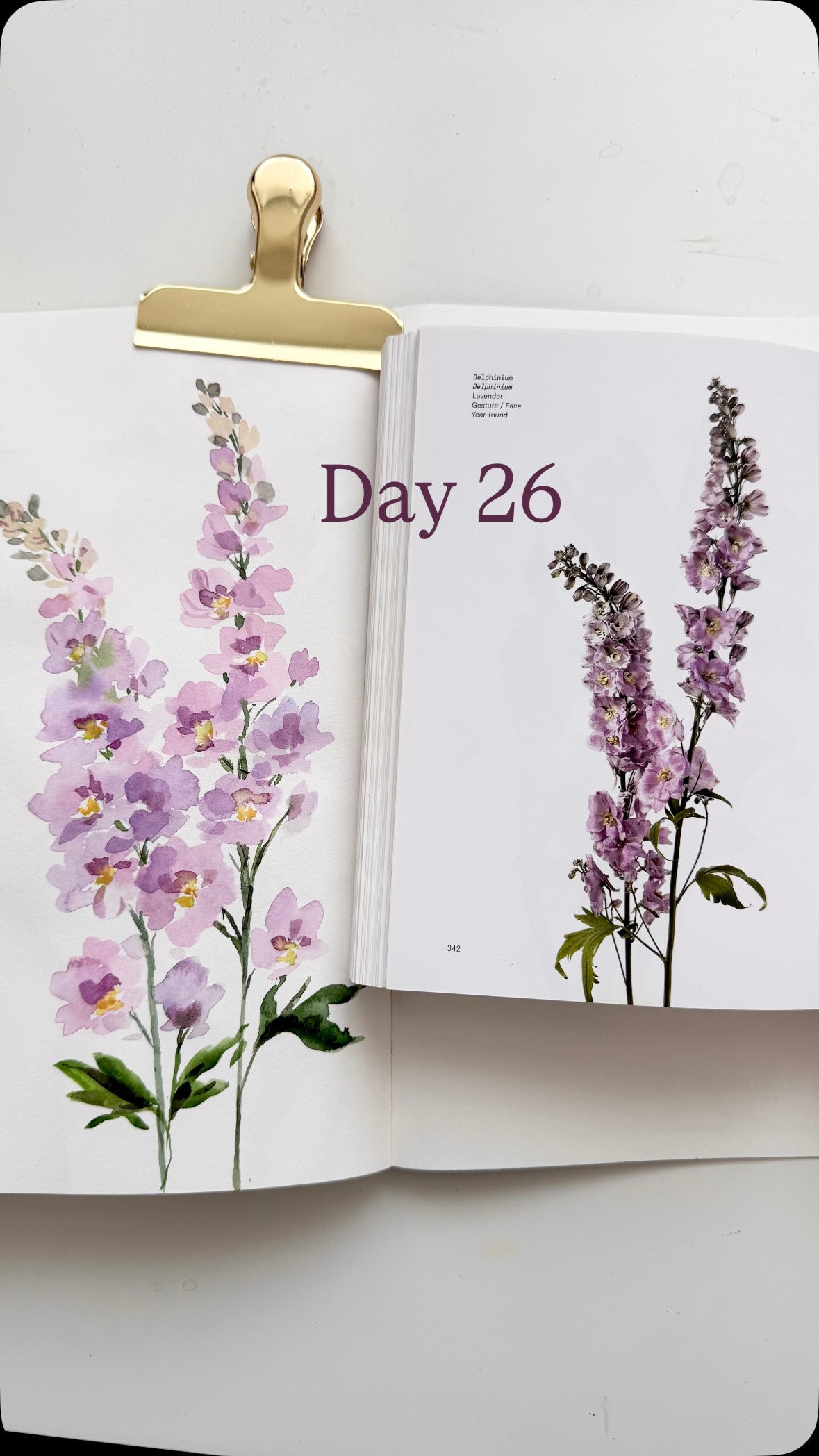Day 26! Today I painted delphiniums from the book, flower color guide!
Sketchbook: Strathmore mixed media 500 series
Brushes: Emma lefebvre @craftamo travel brush set
Watercolour paints: @shinhanart.official PWC