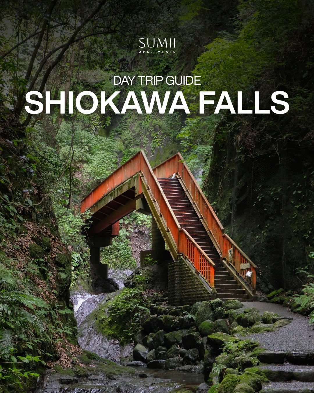 A short escape from Tokyo
Shiokawa Falls feels like a quiet reset button, water slipping over stone and clean air 🌿
Save it for the day you feel like slowing down.
#livesumii #sumiiapartments #tokyo #tokyodaytrip #shiokawafalls