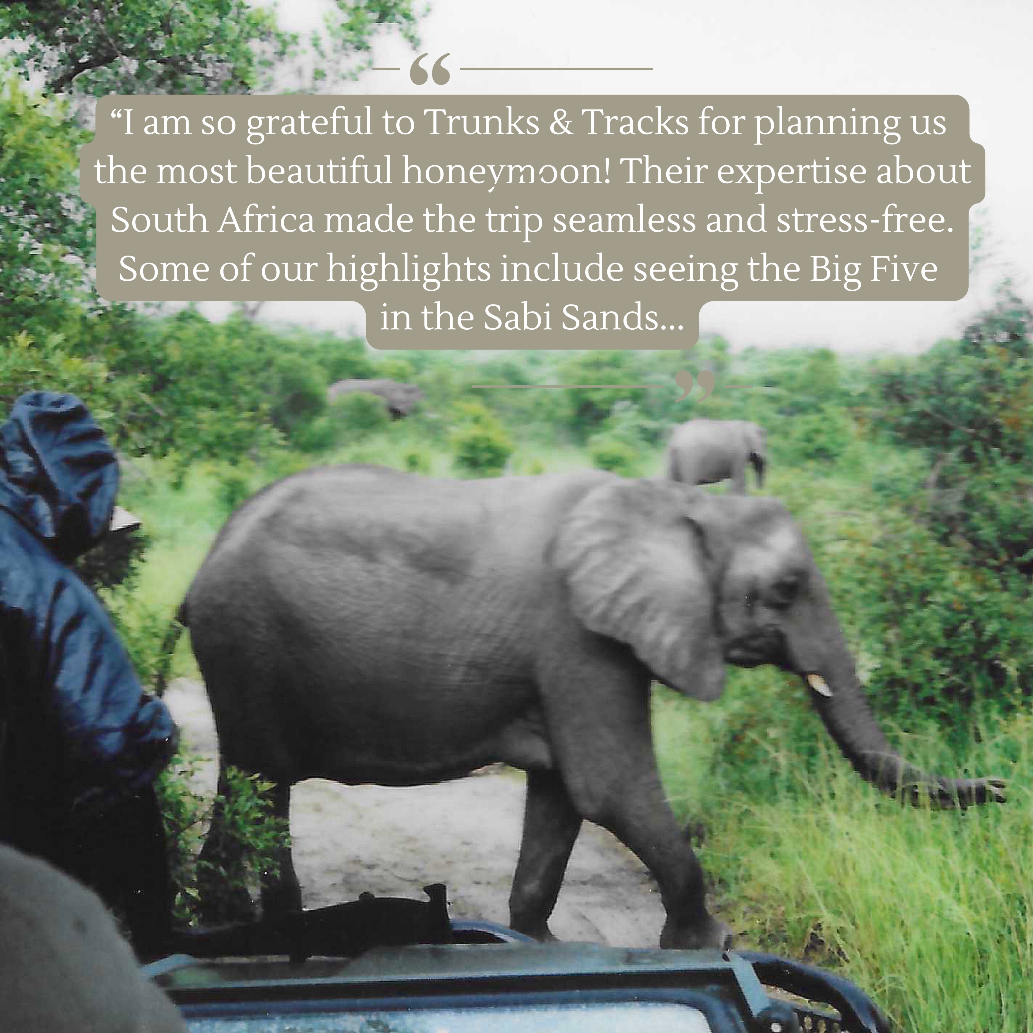 T&T Guests Claire & Johnny shared some of their honeymoon highlights with us- take a look through their lens. If you’ve had the mussels at Olympia Cafe, we’re pretty sure you’ll share their sentiments!
#trunksandtracks #southafrica #honeymoon #safari #capetown