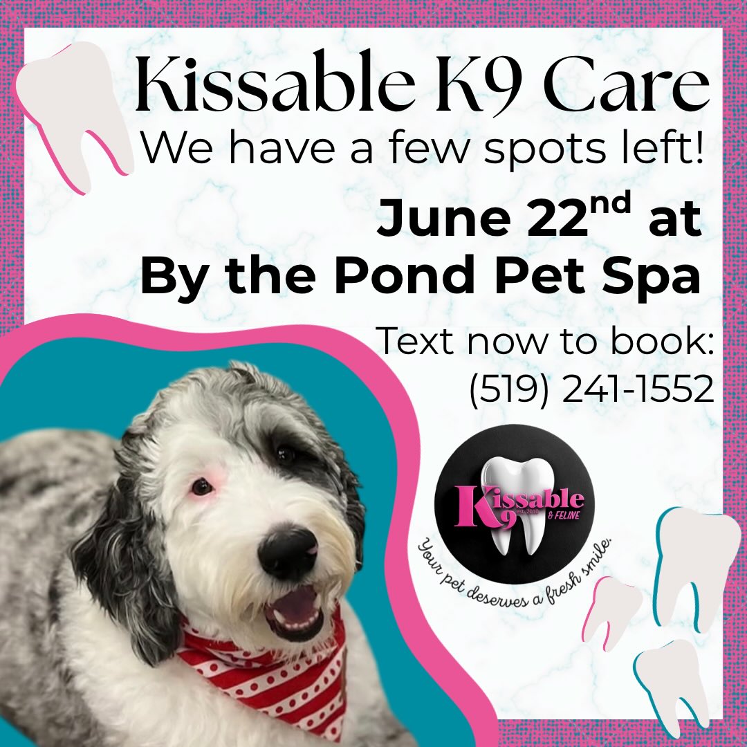 Don’t miss out on our dental clinic, this Monday 🦷🪥
#doggrooming #dentalclinic #dogdental #kissablek9 #kissablek9care