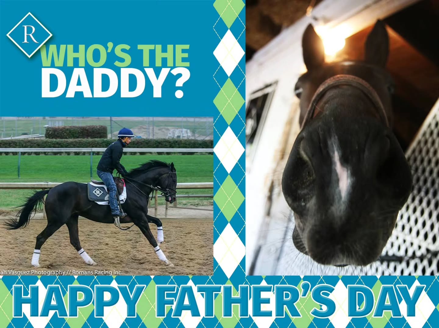 In honor of Father's Day, we won't tax your brain too much. Here's an easy quiz. This famous guy started with us and is now a sire superstar. Who's the Daddy? 😉 Wishing a Happy Father's Day to all Dads! First photo 📸 @lvasquezphotography
