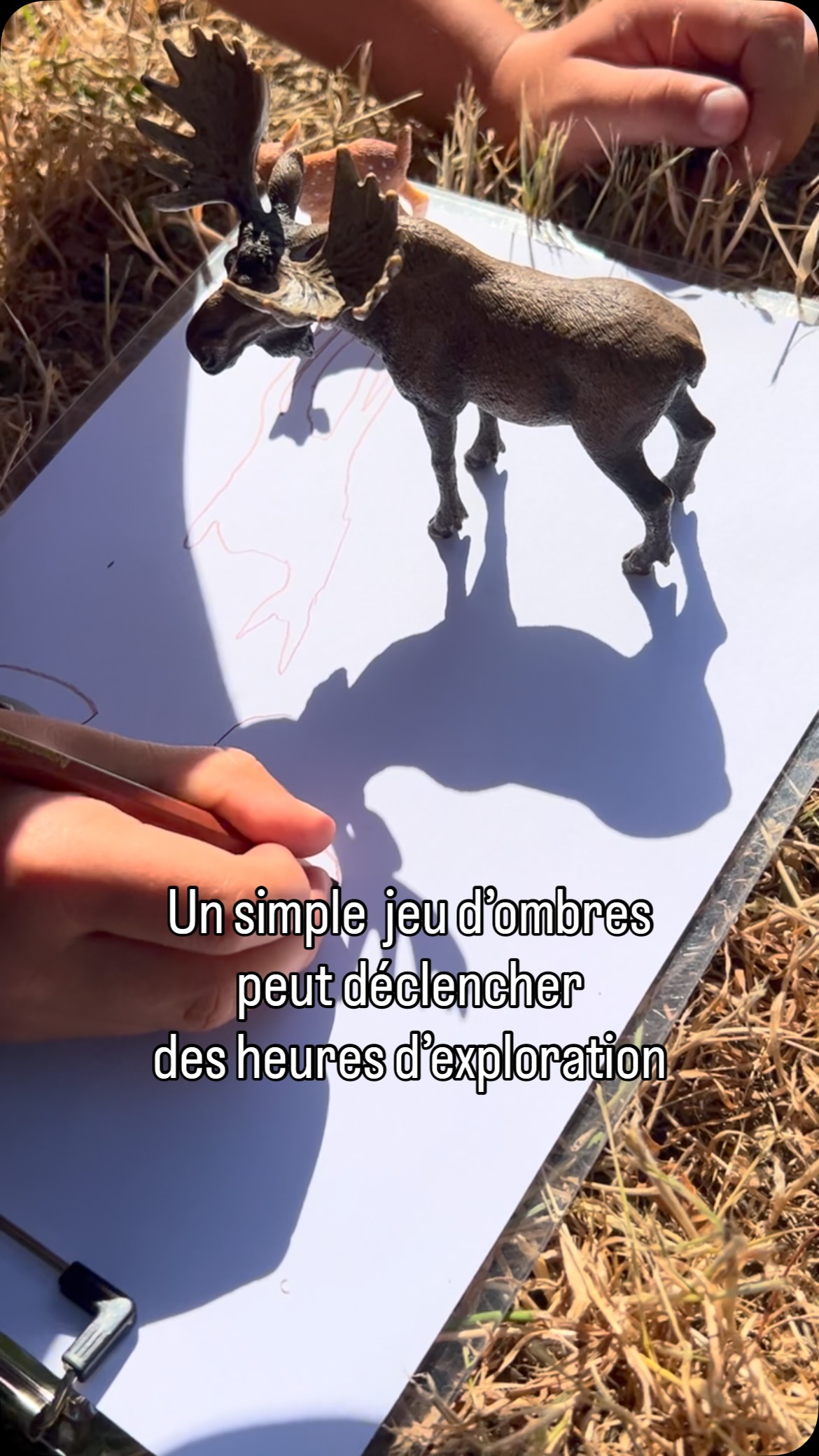 Au départ, l’idée était simplement de dessiner l’ombre de quelques animaux.
Puis les dessins ont inspiré des histoires.
Et ces histoires ont donné naissance à de petits refuges construits dans les arbres pour accueillir leurs nouveaux habitants.
C’est ce que j’aime dans les activités nature : elles ne s’arrêtent pas lorsque l’activité est terminée.
Elles nourrissent l’imagination, les jeux et les explorations des jours suivants.
📌 Matériel :
• une feuille
• un crayon
• quelques figurines d’animaux
• du soleil
Avez-vous déjà remarqué qu’une simple idée peut occuper les enfants bien plus longtemps que prévu ?
#activitenature #enfantsetnature #activiteenfant #jeuenpleinair #apprendredehors