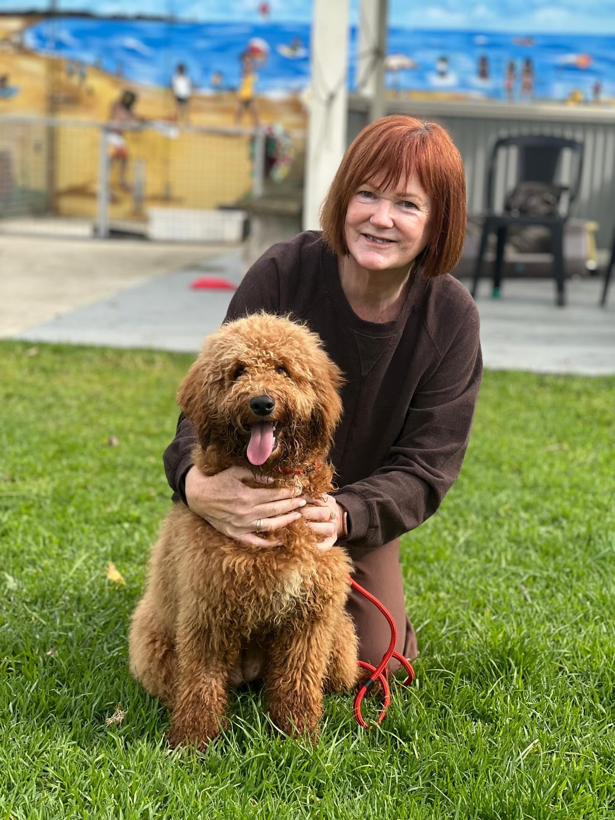 Susan with her Mini Groodle girl is pure sunshine wrapped in fur ๐พ๐
Her playful paws bring laughter, her gentle cuddles bring comfort, and together they create memories that sparkle brighter than any daydream.
This bond is more than love, itโs joy, mischief, and heart all rolled into one fluffy bundle!
#MiniGroodleMagic #PuppiesDownunder #SusanAndHerGroodle #PuppyJoy #LoveInFur