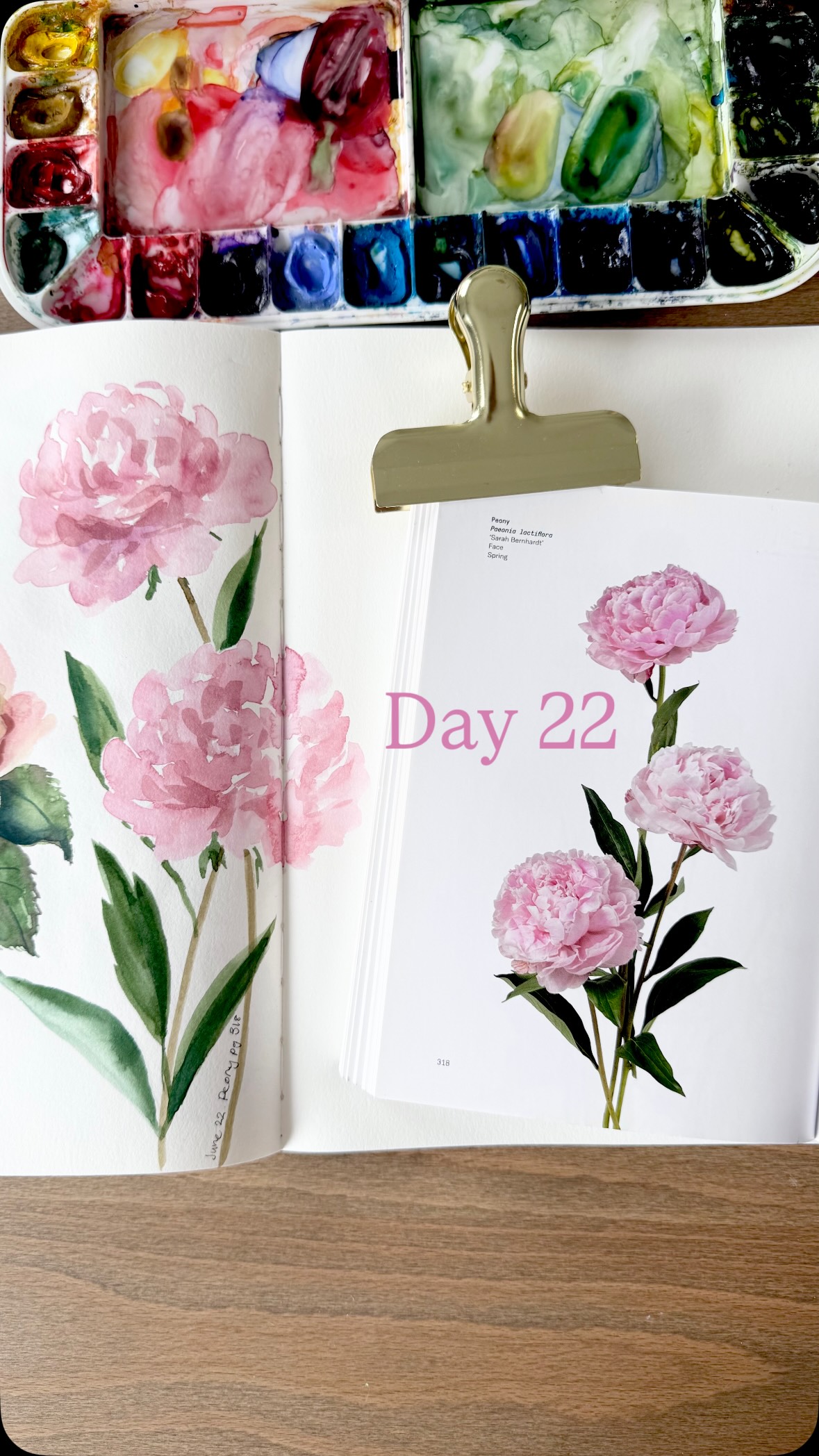 Day 22 of picking flowers to paint from the book Flower Color Guide! Today I picked peonies from page 318.
Sketchbook: Strathmore mixed media 500 series
Brushes: Emma lefebvre @craftamo travel brush set
Watercolour paints: @shinhanart.official PWC