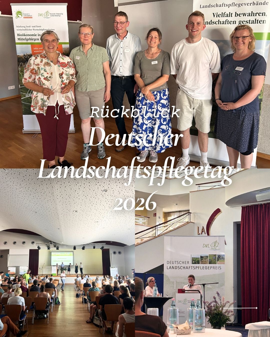 Rückblick auf den Deutschen Landschaftspflegetag 2026! 🌾📸
Ein paar ereignisreiche Tage liegen hinter uns, die vollgepackt waren mit neuem Input, spannenden Vorträgen und großartigen Erfolgen für unsere Region!
Hier sind unsere Highlights:
🔹 Verstärkung im Vorstand: Wir freuen uns riesig, dass Ingo Sander (Bürgermeister von Tarnow) frisch in den Vorstand des Deutschen Verbands für Landschaftspflege (DVL) gewählt wurde! Herzlichen Glückwunsch und auf eine gute Zusammenarbeit! 👏
🔹 Neuer Input: Bei den zahlreichen Vorträgen gab es jede Menge frische Impulse und Ideen für unsere tägliche Arbeit, die wir mit nach Hause nehmen. 💡
🔹 Auszeichnung für MV: Ein absolutes Highlight, der Dialog-Acker in Gessin wurde mit dem Deutschen Landschaftspflegepreis ausgezeichnet! 🏆✨
Auf 22 Hektar eines zuvor konventionell bewirtschafteten Ackers wurde hier das bislang größte Agroforstprojekt unseres Bundeslandes geschaffen.
Durch die Pflanzung von rund 700 Bäumen, 4.000 Heckenpflanzen sowie neuen Nist- und Sitzmöglichkeiten für Tiere ist ein strukturreicher, ökologisch bewirtschafteter Lern- und Demonstrationsstandort entstanden. 🌳🐦
Das Projekt verbindet landwirtschaftliche Praxis, Wissenschaft sowie gesellschaftlichen Dialog und zeigt beispielhaft, wie eine naturverträgliche und klimaresiliente Landnutzung aussehen kann. Und der Einsatz zeigt Wirkung: Die Artenvielfalt nimmt zu, seltene Vogelarten kehren zurück und natürliche Prozesse wie der Humusaufbau werden gestärkt. Ein echtes Vorzeigeprojekt für eine zukunftsfähige Landwirtschaft!
Vielen Dank an alle Organisatoren und Teilnehmenden für den inspirierenden Austausch!