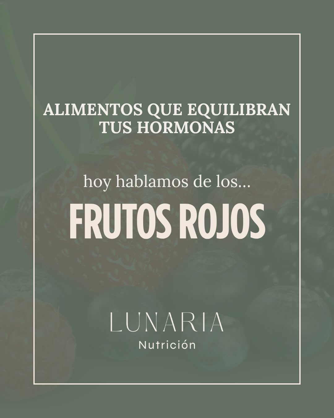 Continuamos con la serie “Alimentos que equilibran tus hormonas”
🍓🫐🍒 Los frutos rojos son una excelente fuente de antioxidantes, compuestos que ayudan a proteger nuestras células frente al estrés oxidativo y contribuyen al bienestar hormonal.
Además, el verano es el momento perfecto para disfrutarlos. Su contenido en agua, vitamina C y polifenoles los convierte en un alimento refrescante, hidratante y nutritivo para esta época del año.
A veces olvidamos que la naturaleza sigue sus propios ritmos, ofreciéndonos alimentos que responden a las necesidades de cada estación.
Pequeños hábitos, sostenidos en el tiempo, pueden marcar una gran diferencia en cómo te sientes ❤️