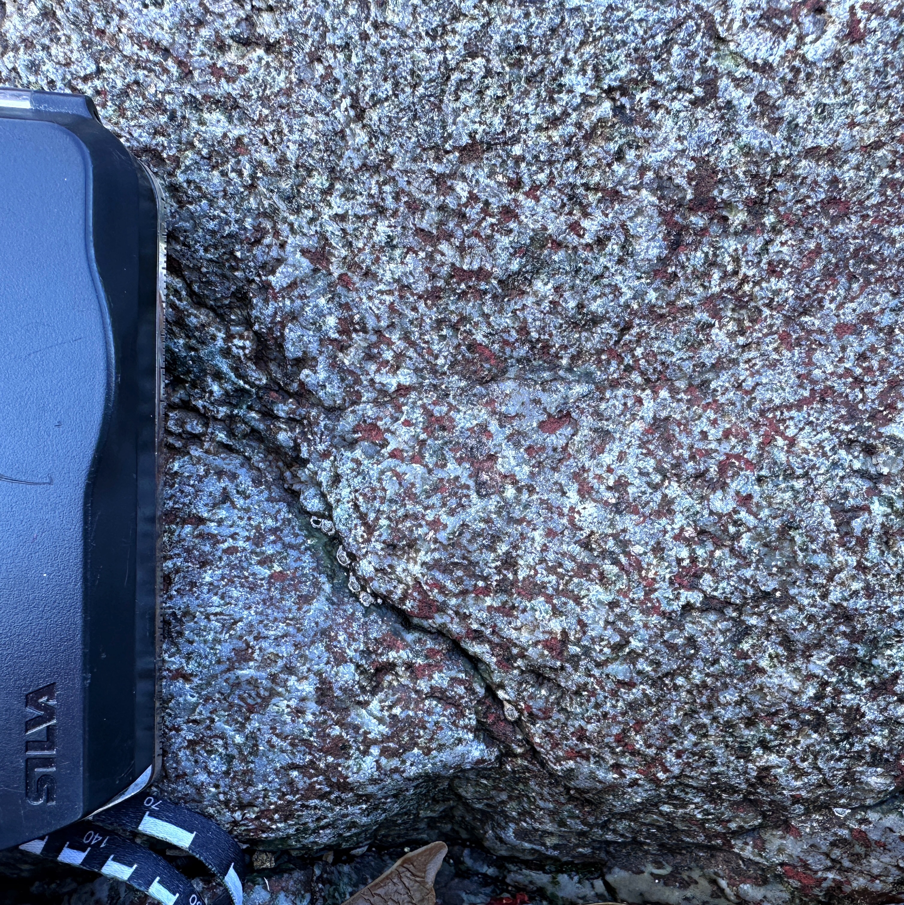Troctolite at Coverack.
Troctolite, sometimes called troutstone due to its spotted appearance like the fish, is a coarse-grained mafic igneous rock.
It’s a subdivision of gabbro, mostly containing olivine (black/red) and plagioclase (white) with <10% pyroxene. Some aren’t actually troctolites here and are olivine gabbros, but these posts have little room for pedantry.
You can see how these magmas injected into the black, ultramafic peridotites, so they must be younger than their host. They are all part of the Lizard ophiolite (section of oceanic crust and lithospheric mantle).
The presence of troctolite is important, as it can indicate the first transition from ultramafic to mafic rocks in an ophiolite, crossing the Mohorovičić Discontinuity (Moho for short!) from mantle to crust.
And that is what you see at Coverack! Okay, it’s not quite as hot and isn’t in the same place, so just use your imagination!
The Moho is seen as a seismic reflection caused by different physical properties of rocks either side. The transition zone here is about 200 m wide, consisting of mafic and ultramafic sheets, ranging from cm to several m thick.
The story of an ophiolite’s journey to the Earth’s surface is a tectonic one!
The Lizard ophiolite formed 400 million years ago, when Cornwall was in the southern hemisphere on the margin of a large ocean. Stretching continental crust eventually thinned enough for oceanic crust to develop.
Eventually that ocean began to close. The oceanic crust was subducted down below a continental plate rising from the south due to its higher density. However, a fragment was obducted - dragged and dumped on what is now south Cornwall.
Lucky for us, as it gives us a fantastic natural laboratory from which to study how the Earth’s interior works.
#cornwall #geology #geologyrocks #geologist #igneous