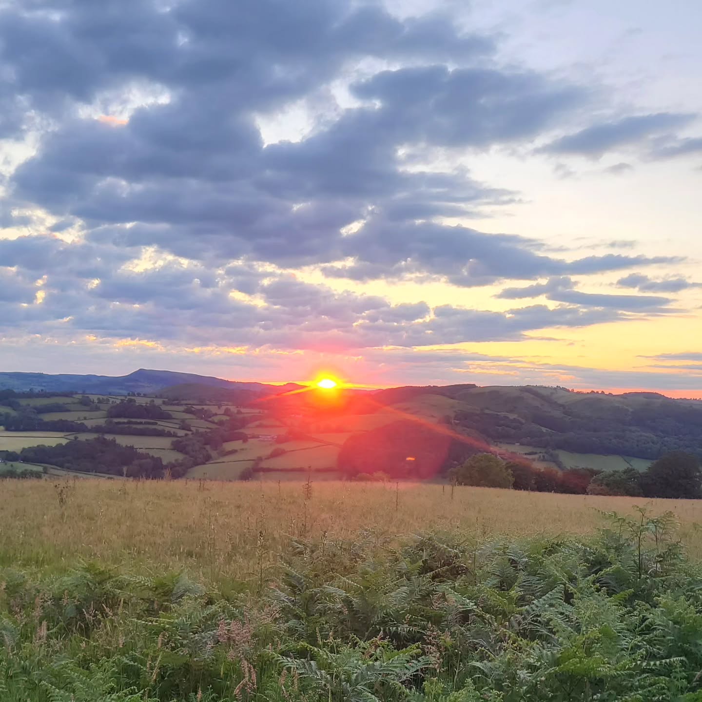 A beautiful Solstice morning, watching the sun rise over the hills. There was a stillness to the air, and then as the sun came up, nature awoke. The skylarks were so noisy it sounded like they were celebrating the sun too!
Wishing you a beautiful day β¨οΈβ€οΈ
#summersolstice