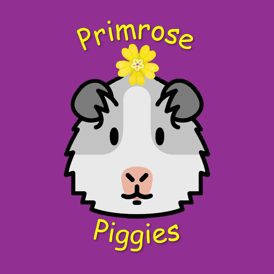If you need to contact us:-
www.primrosepiggies.co.uk
primrose.piggies@hotmail.com
Remember to check your junk/spam folder as responses often end up there!
🩷🩵