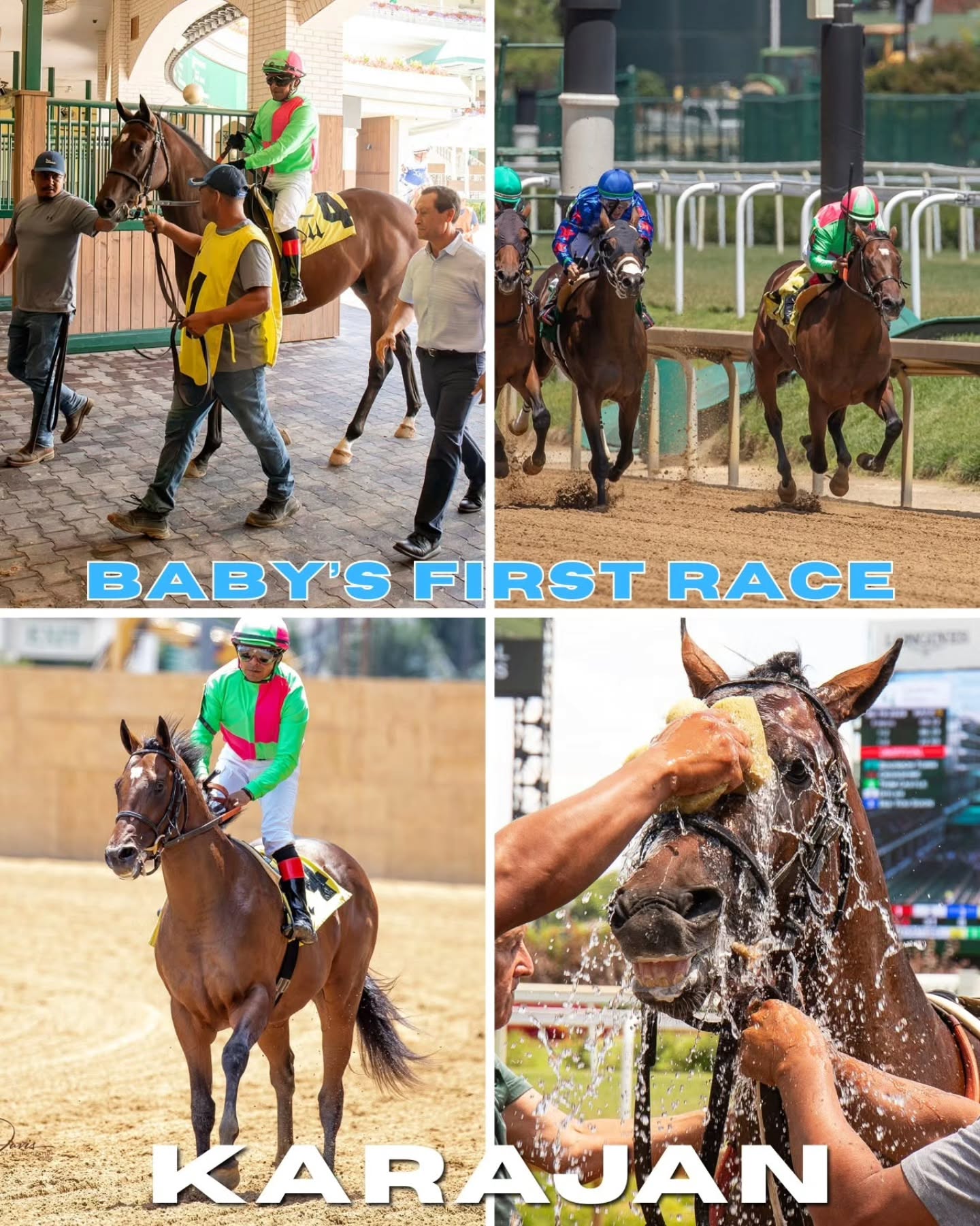 The first of our "baby" crop ran Friday at Churchill, KARAJAN, with Martin Garcia aboard. Broke very well and maintained a good lead until the last 16th. Not a winner, but we're very pleased with his effort. Got to get that first one under the belt so they get that experience and begin to learn. Came back like a pro, and hopefully set up well for the next race! The 2yo Hard Spun colt is owned by Delia Nash and Jun Park.
