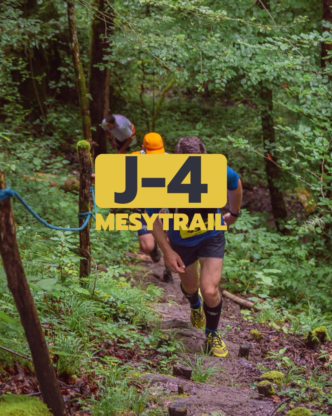 J-4 Mesytrail 2026 ❗️
Tout d’abord, un grand merci à tous les participants ! Nous espérons que vous êtes prêt et en forme pour dimanche !
▫️RETRAIT DES DOSSARDS
Le retrait se fera à la salle des fêtes de Mésigny
• Vendredi de 16h à 19h
• Samedi de 14h à 19h
• Dimanche jusqu’à 15mins avant la course
(Pense à prendre des épingles avec toi, ces petites choses partent vite)
▫️HORAIRE DE DÉPART
• 27km départ à 8h30
• Marche départ à 9h00
• 17km départ à 10h00
• 11km départ à 10h20
Aucun changement d’horaire est à prévoir !
▫️FORTES CHALEURS ⚠️
De fortes chaleurs sont prévues pour ce dimanche 28 juin, il est fortement recommandé à tous les coureurs de prévoir:
• 2L d’eau au départ de la course
• Des protections solaires (crème, lunettes, casquette…)
• D’adapter son allure si besoin
Des points d’eau seront mis à disposition tous les deux kilomètres afin de vous permettre de vous rafraîchir et de remplir vos gourdes
Nous avons hâte de vous retrouver ce dimanche ☀️
L’équipe du Mesytrail