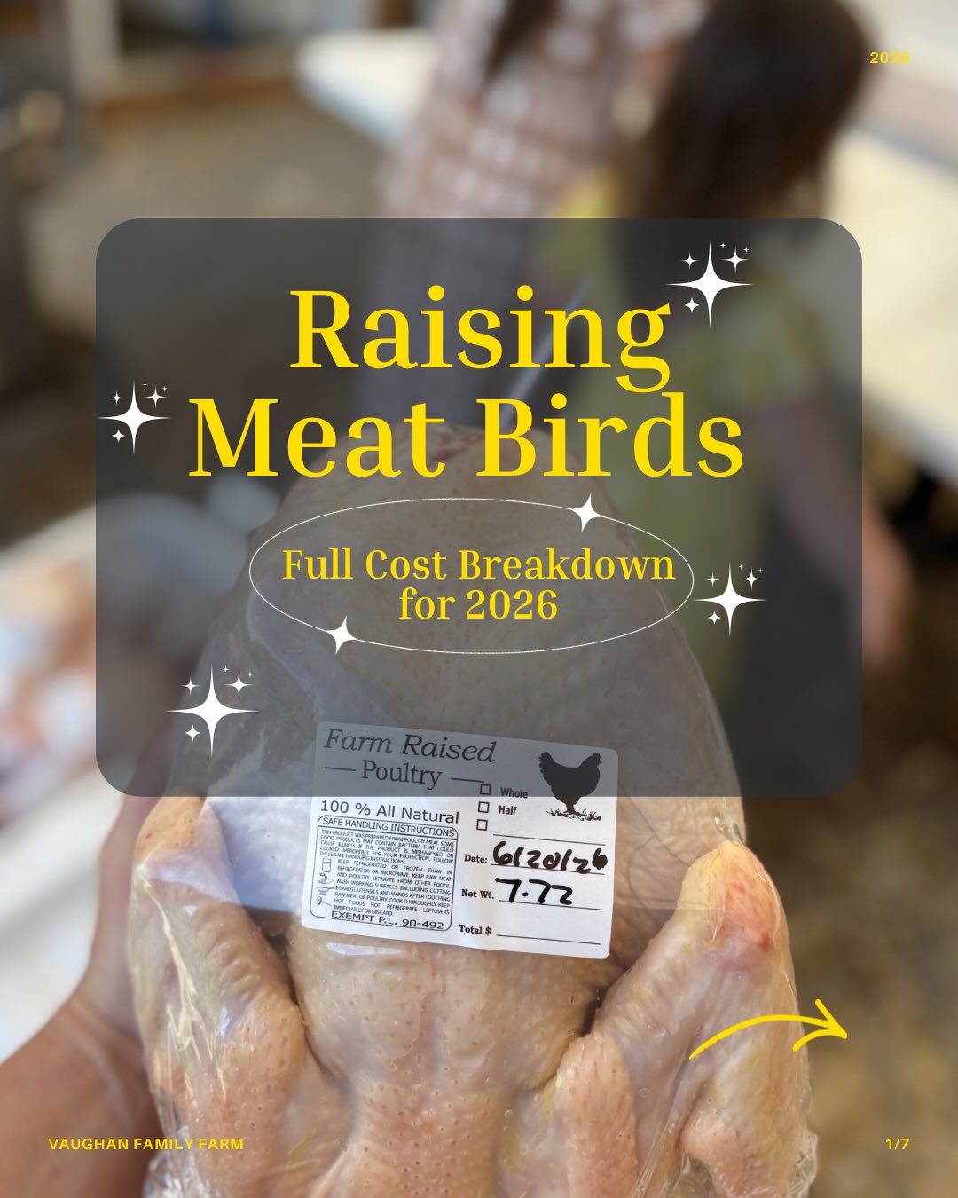 Raising a year’s worth of chicken for our family of 8, full cost breakdown. Comment CHICKEN for a link to supplies & video
#homestead #farm #country #sustainability #protein