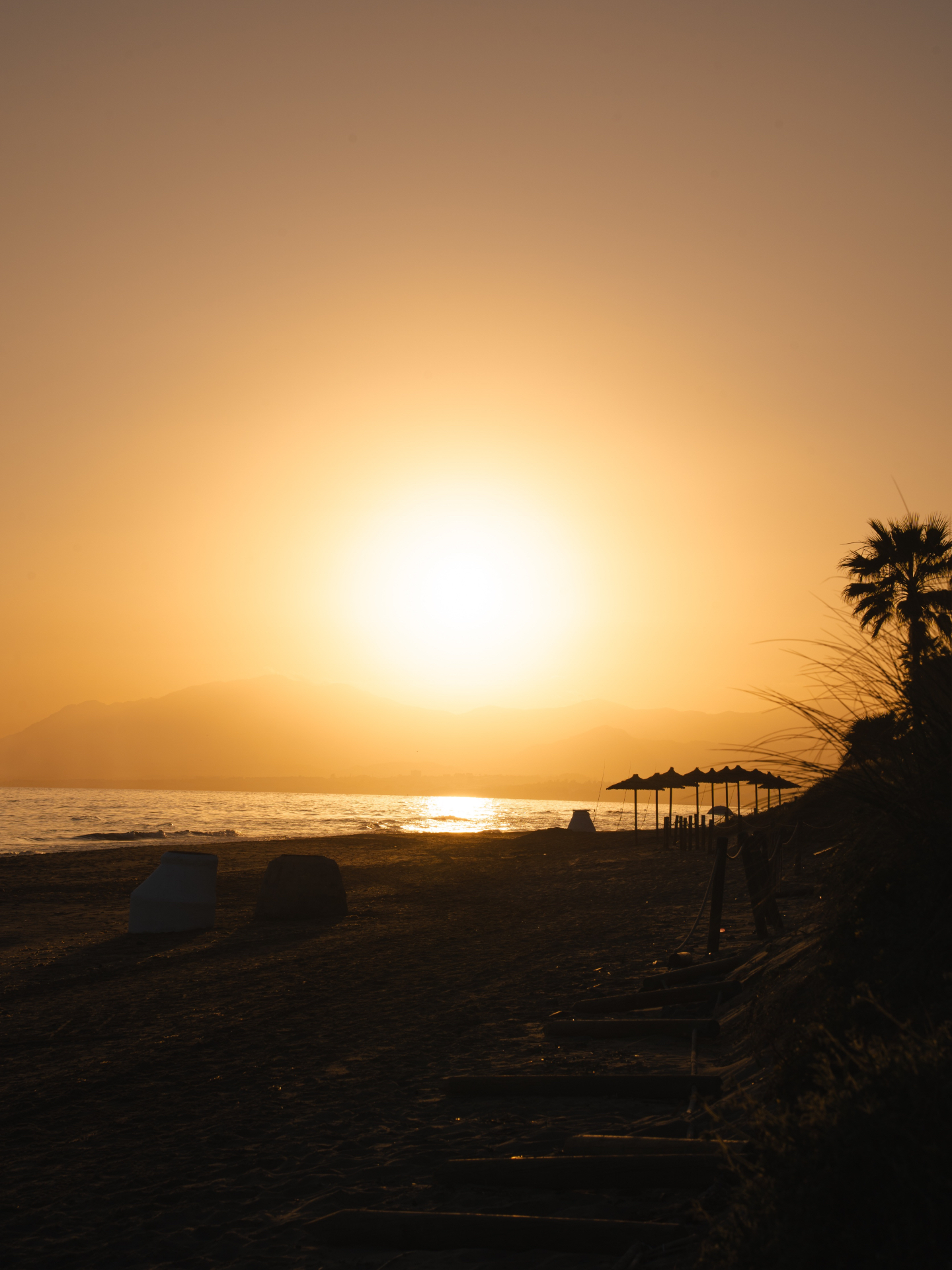 Golden hour was made for Oyana π
That moment when the heat finally softens, the beach turns amber and the whole day starts to slow down by the sea.
Summer nights begin here: with warm light, salt in the air and the feeling that staying a little longer is always the right decision.
#MorningGoals #oyanabeach #oyanabeachrestaurant #marbellarestaurant #marbelladining #marbellabest #marbellaforlife #marbellaeast #oyanafood #experienceoyana #foodexperience #timetoslowdown