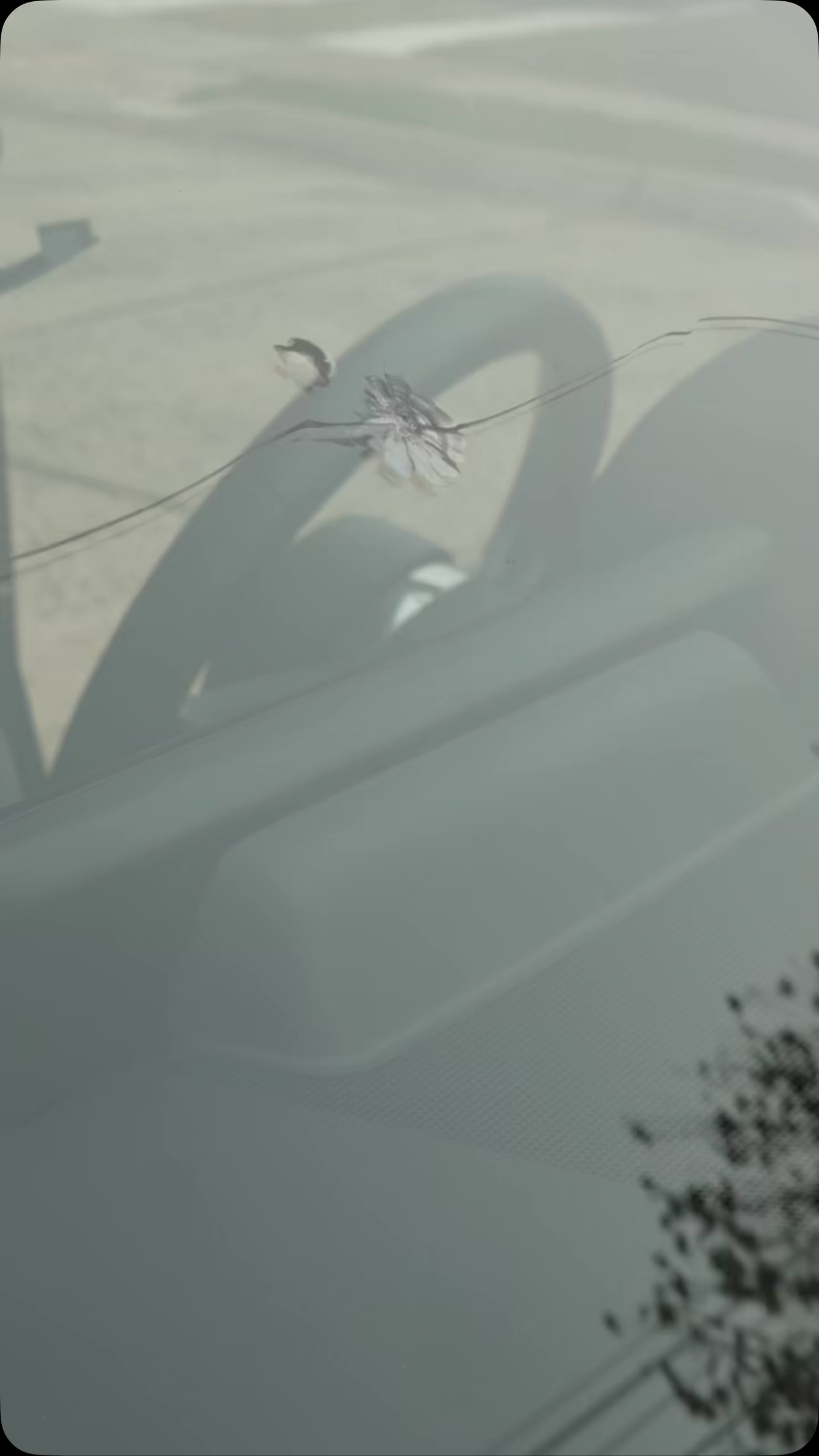 Your windshield is an important part of your vehicle’s safety and everyday performance. From small chips to larger damage, taking care of issues early helps keep your drive clear and protected.
Don’t wait for a small crack to become a bigger problem.
Contact Windshield Replacement LLC today.
#windshieldreplacement #autoglass #driversafety #carcare #njservices