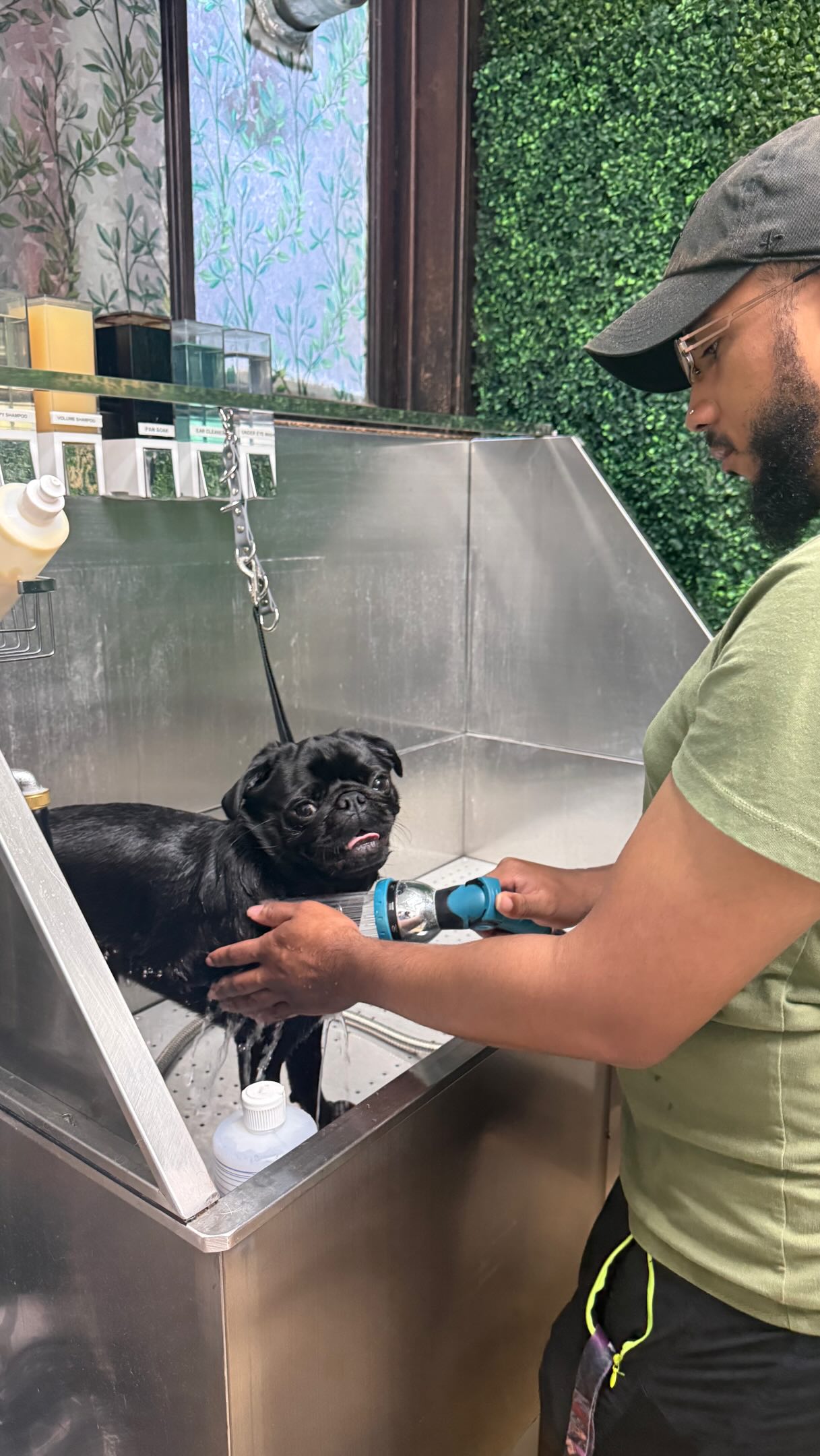 Looking cute from head to paw! ✨🐾
Book today! 🛁🩵
#sitsocial #dogdaycare #doghotel #doggrooming