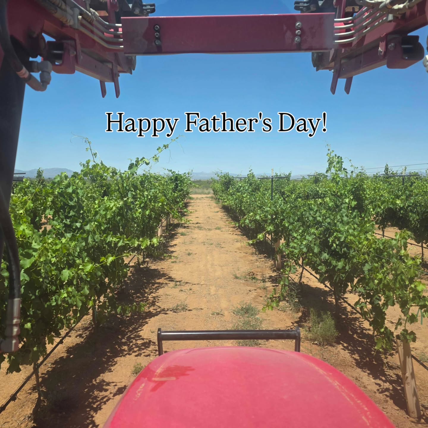 Cheers to all the dads today! Especially those vine dads who never get a day off. 😉 Tasting room is open today from noon to 5pm if you can make it out for a pour. ⚔️🍷