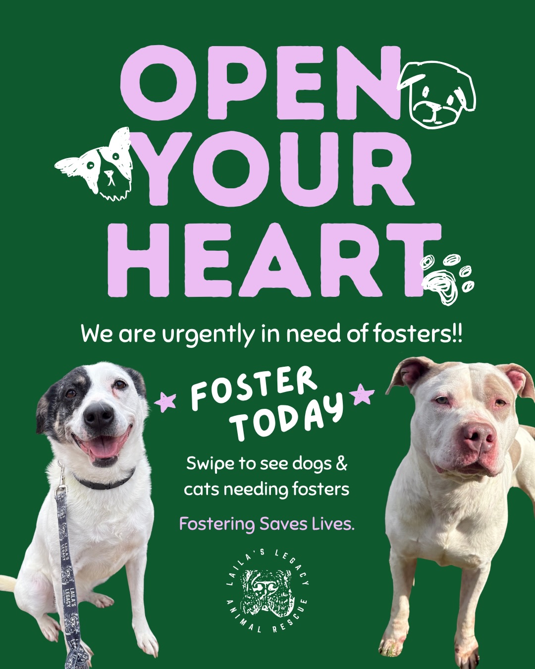 Bjorn, Cash, Jordan, & Rye EACH need a new foster home! Laila’s Legacy (@lailaslegacy_) is looking for foster homes for four wonderful dogs, and if these four aren’t a fit there’s plenty more in need so please read!!
👶 Bjorn has a hard life and after being brutally attacked by an off leash dog is now unable to live with dogs. His current fosters have given him so much while keeping him separated from their resident dogs. They are expecting a baby ANY DAY NOW and cannot continue fostering! Bjorn has multiple committed volunteers to support with dog walks, weekend temp fosters, or day-sits for long work days! —HE NEEDS A NEW FOSTER BY JUNE 29th!
💸 Cash‘s fosters are moving in with family and multiple other dogs and cannot take Cash with them. She has been routinely left for 6-8 hours while her foster worked outside the home and done well not crated. Cash needs a foster without dogs in the home or able to be separated. Her fosters ADORE her and would adopt her if they could, but SHE NEEDS A NEW FOSTER BY JUNE 29th!
🏀 Jordan was adopted from us when he was 1 and returned recently because they had another baby. He needs a dog in the home to be his buddy. Ideally a dog that is confident, excited to play with him, and ideally crate trained as Jordan does well in the crate when there’s a dog in the room also crated! He’s been called a goofball by everyone that meets him and has lived with cats! —HE NEEDS A NEW FOSTER BY TOMORROW JUNE 26th!
🥃 Rye is our *last dog in boarding* and deserves to bust out! She needs a home as the only dog and ideally with just a single person but can be flexible with the right introductions. She is very smart and has truly been through so much training, so she’s a great option for someone that needs a quiet dog in the home but is comfortable with structure! — SHE NEEDS A NEW FOSTER ASAP!
If you can foster, please reach out to fostering@lailaslegacyanimalrescue.org or @lailaslegacy_ on social media.
If you can’t foster these three pups but can open your heart and home to a dog (or cat) in need, please still reach out as Laila’s Legacy has other amazing dogs & cats in need of fosters!
❤️