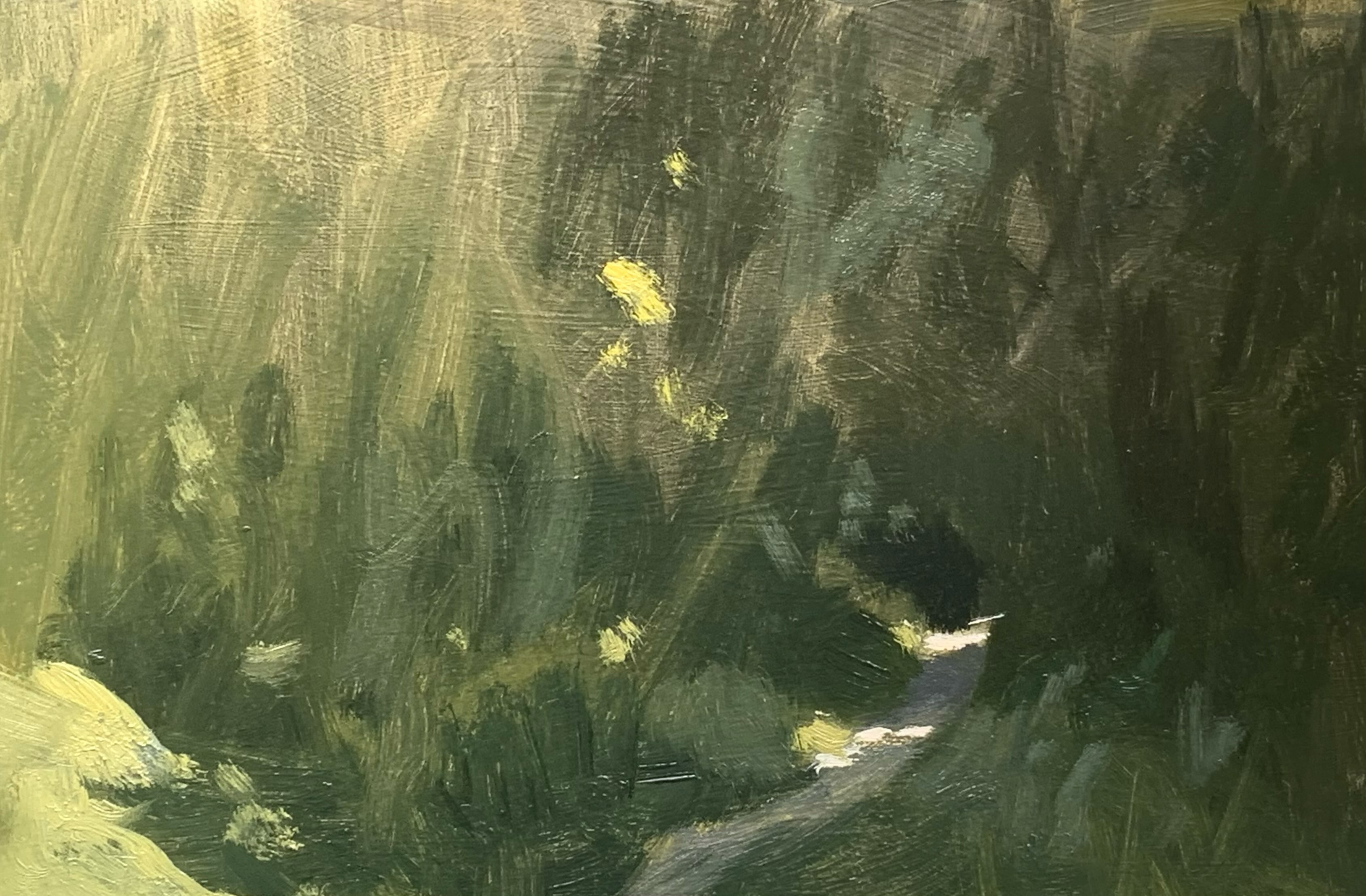 I found a new painting spot very close to home. I plan to return here and capture its nice corners.
Battle. 5 x 8inches. Available
#battle #pleinair #oilpainting