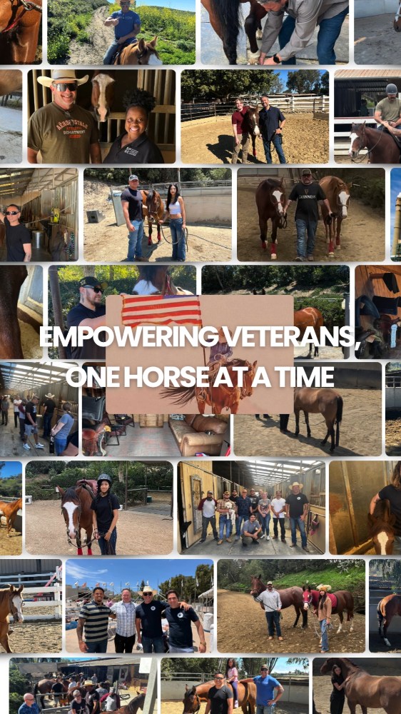 A few moments from the ranch with our Veteran Strong USA participants. 🐴
These photos & clips capture the connections, camaraderie, and experiences that continue to strengthen our veteran community. Thanks to the support of our participants, volunteers, and partners, we've already served more than 80 veterans through hundreds of equine-assisted and peer support sessions over the past year and a half.
Together, we're Empowering Veterans, One Horse At A Time.
#VeteranStrongUSA #VeteranCommunity #EquineAssistedServices #VeteransHelpingVeterans #HealingHopeImpact