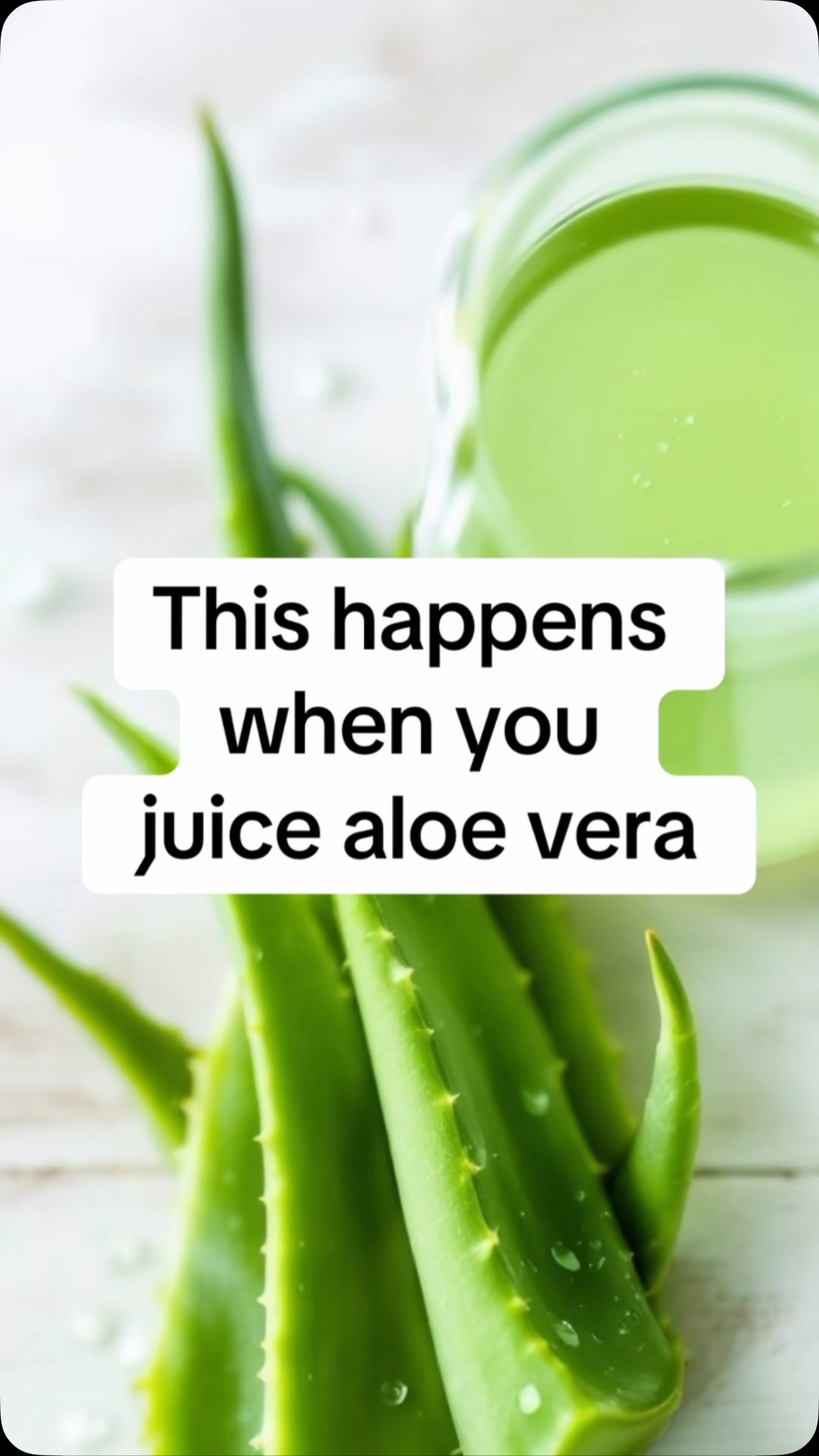 This will happen when you drink aloe vera juice…get the full recipe and find out at myjuicejournal.com #aloevera #JuiceTips #aloeplant